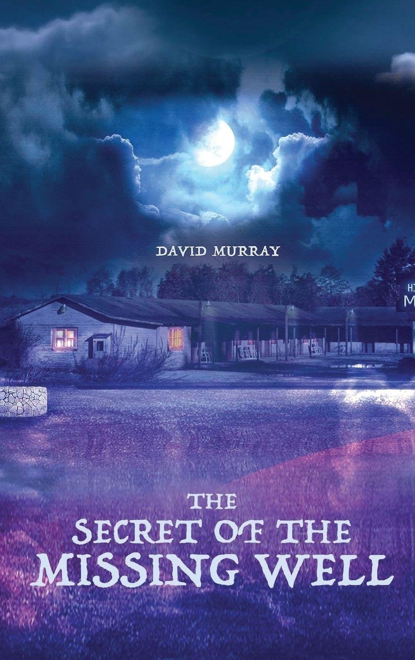 Vorderes Coverbild The Secret of the Missing  Well