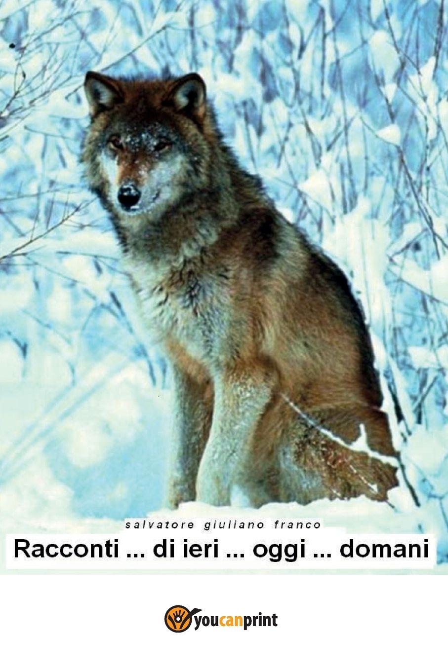 Vorderes Coverbild Racconti .. di ieri .. oggi .. domani