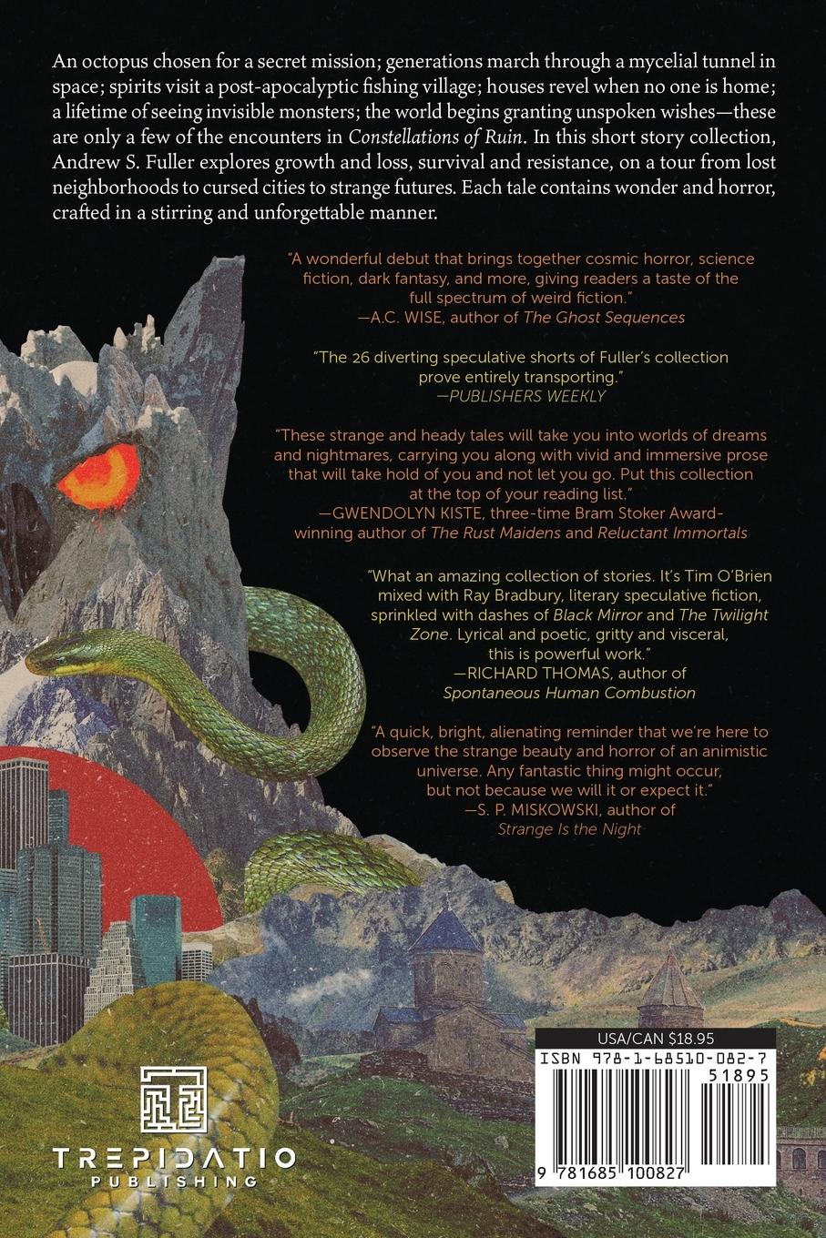 Rückseitencover Constellations of Ruin