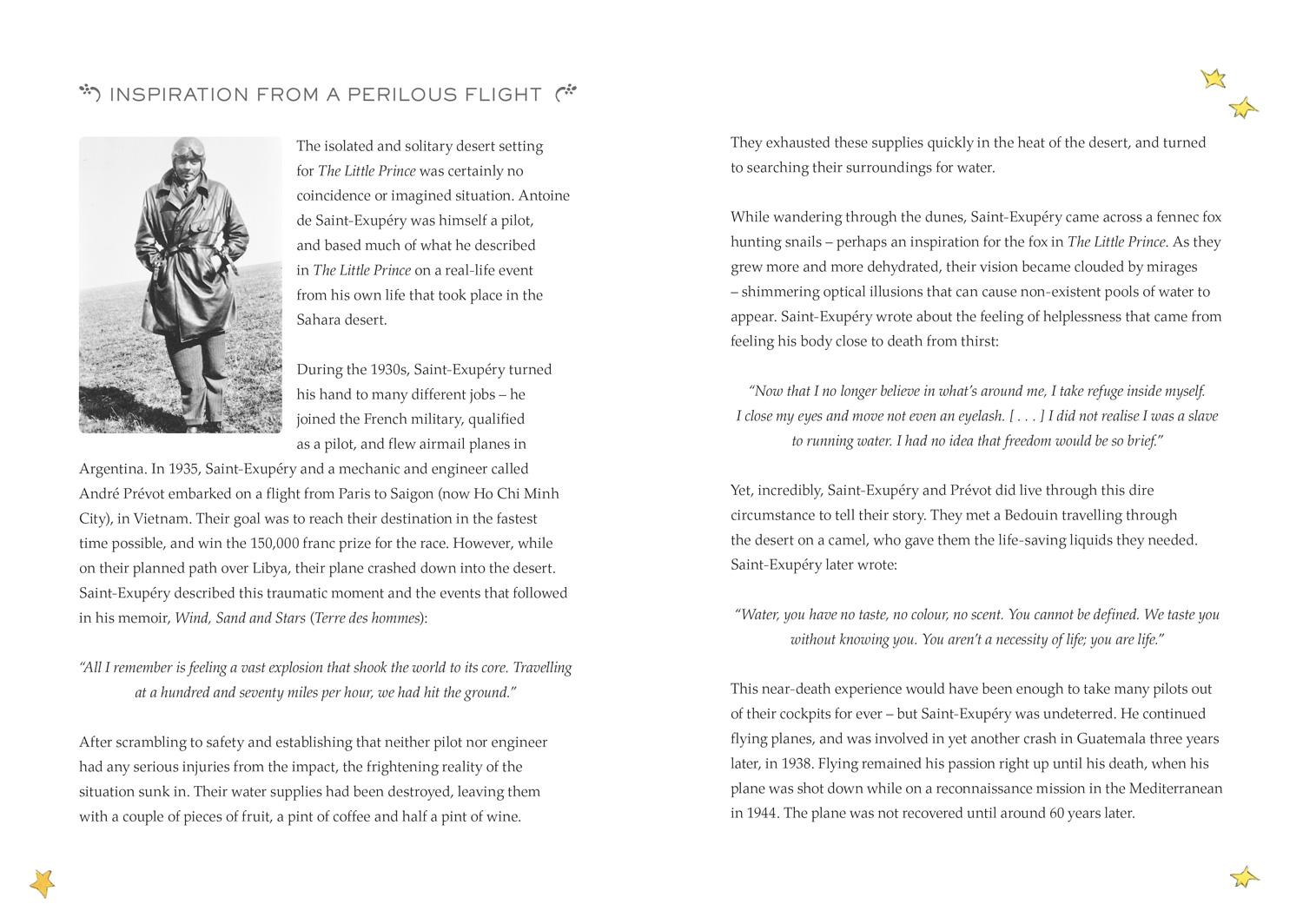 Beispielinhalt (Bild) The Little Prince (Adult Edition)