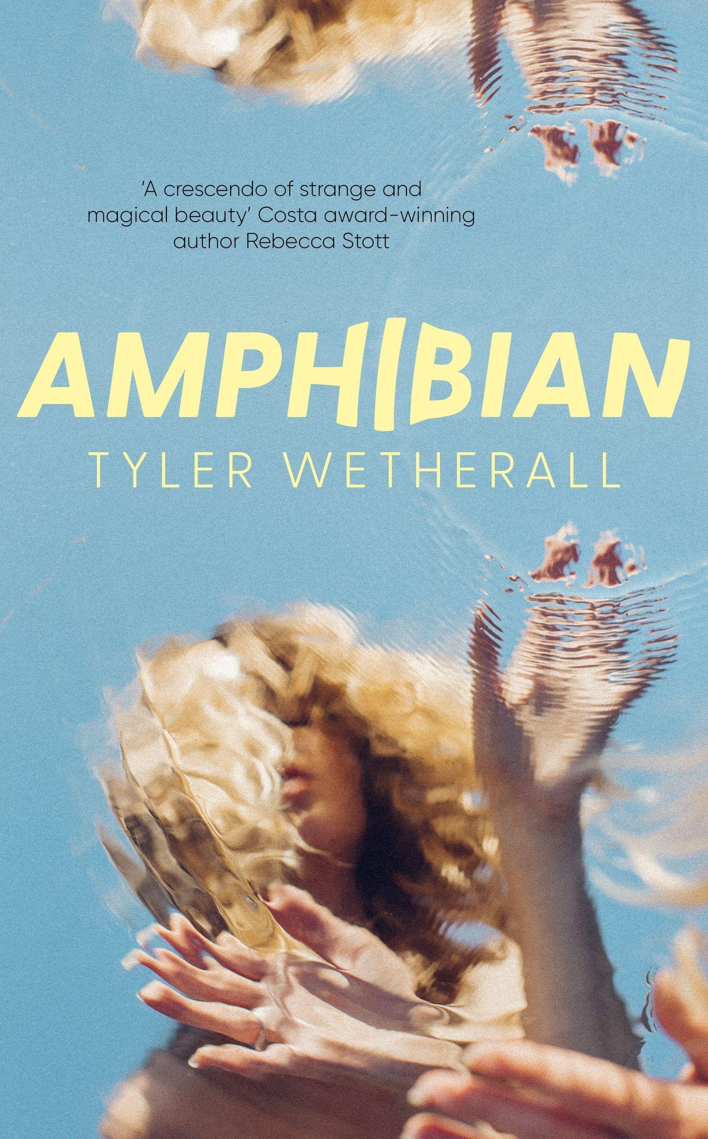 Vorderes Coverbild Amphibian