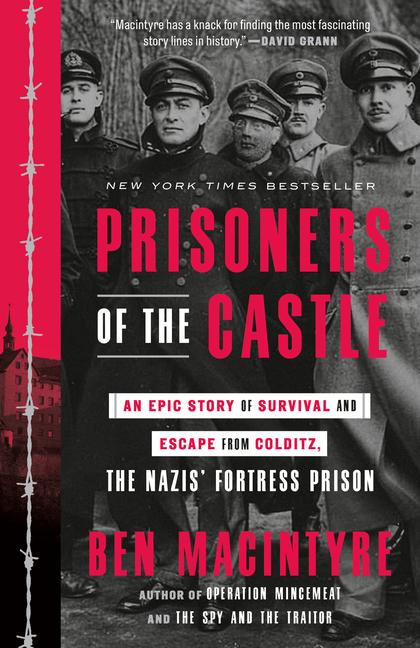 Vorderes Coverbild Prisoners of the Castle