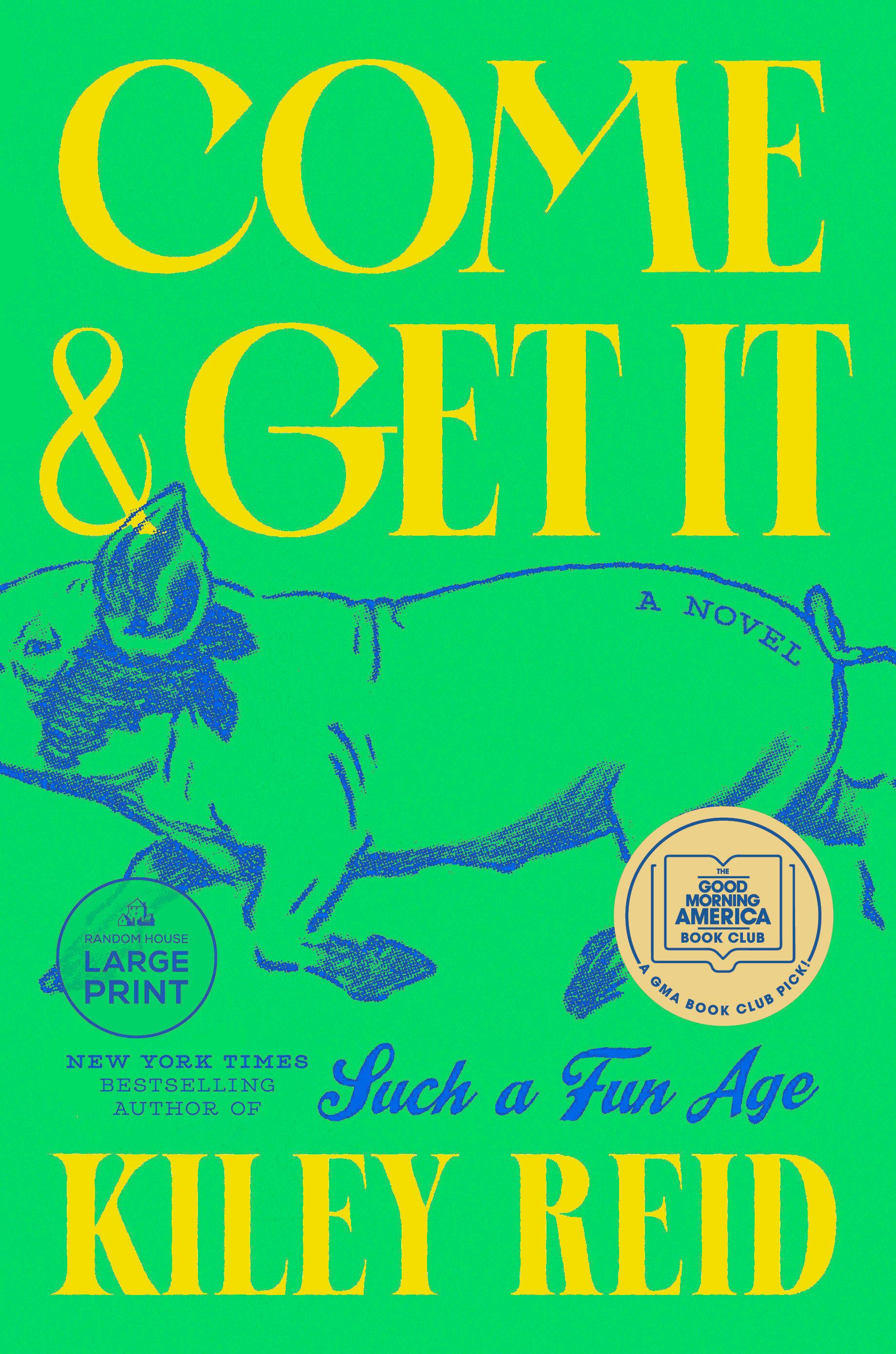 Vorderes Coverbild Come and Get It