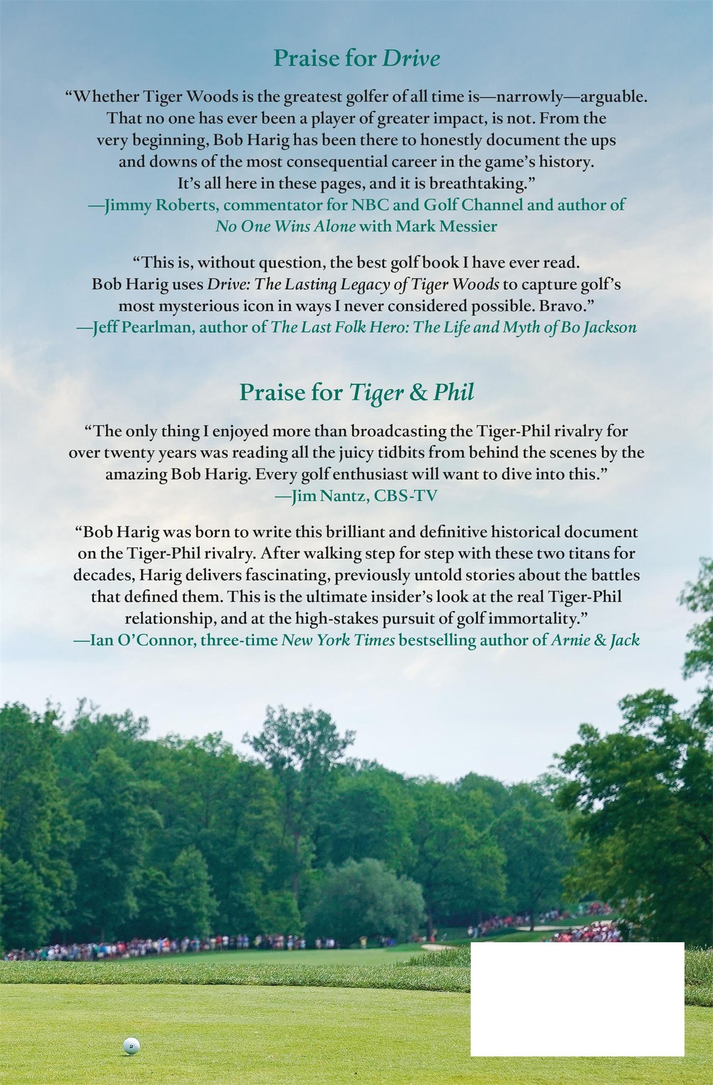 Rückseitencover Drive