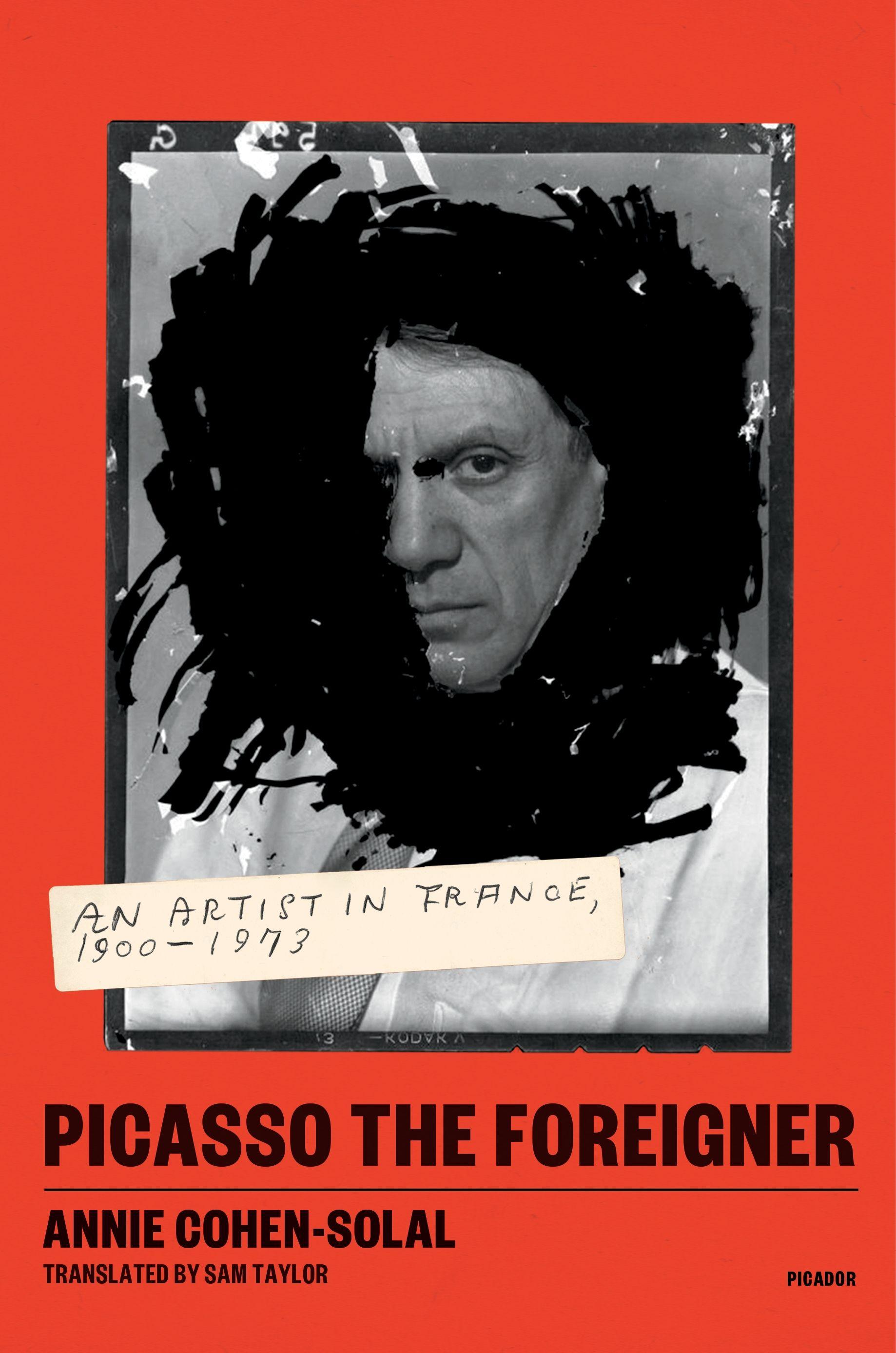 Vorderes Coverbild Picasso the Foreigner