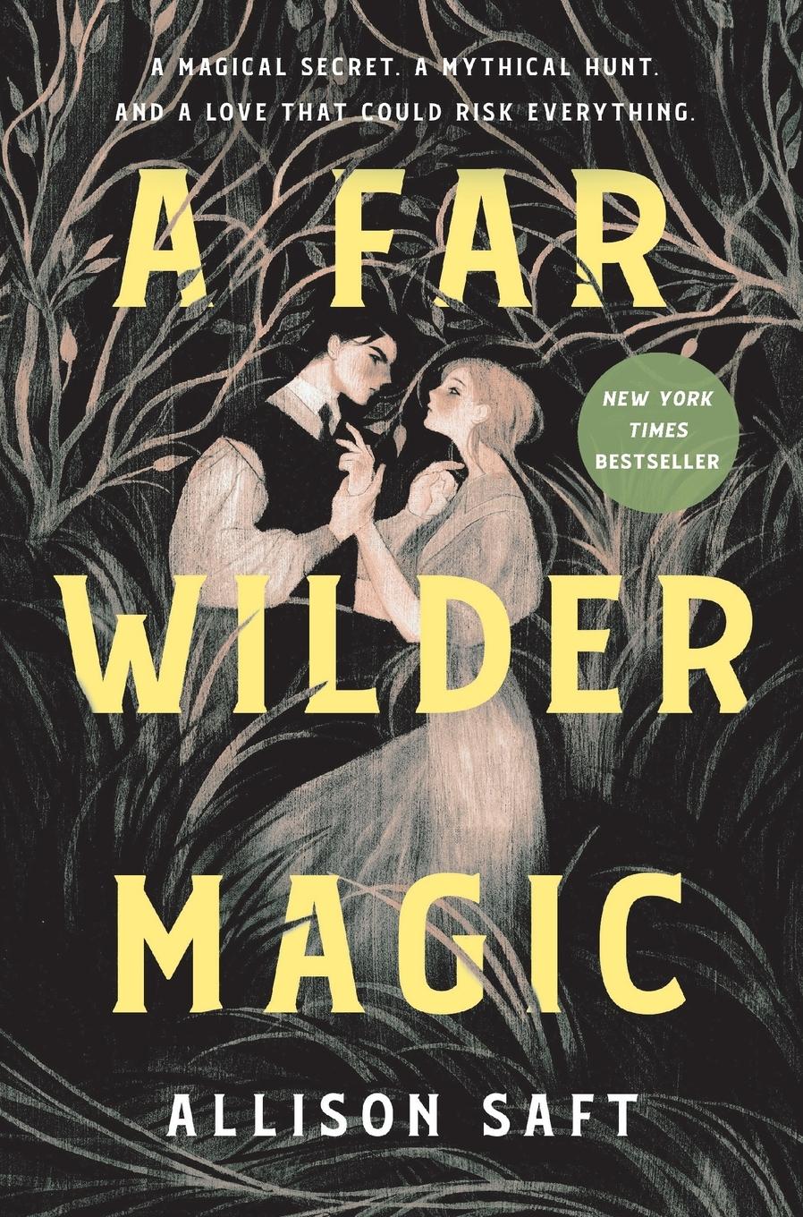 Vorderes Coverbild A Far Wilder Magic