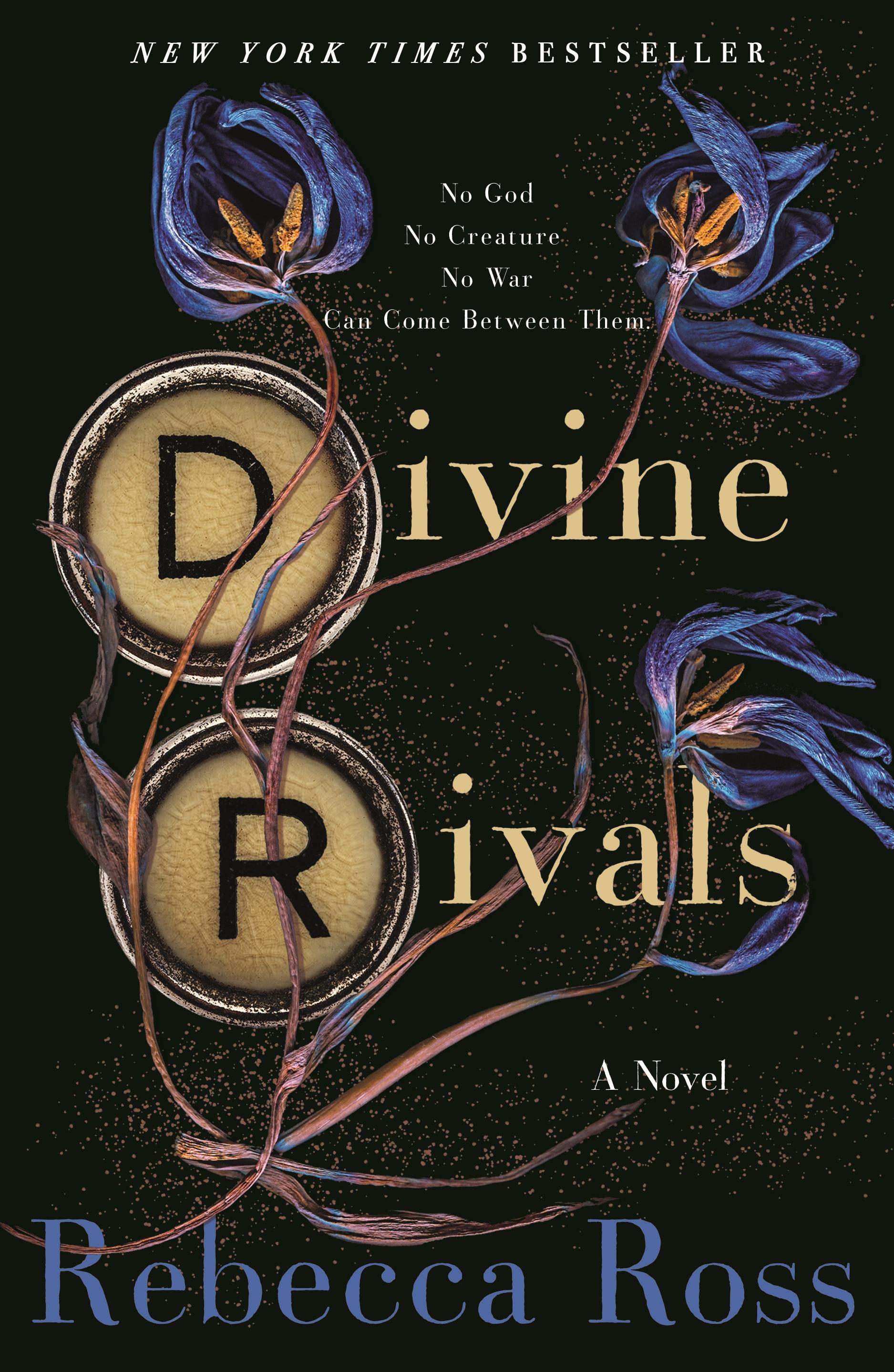 Vorderes Coverbild Divine Rivals