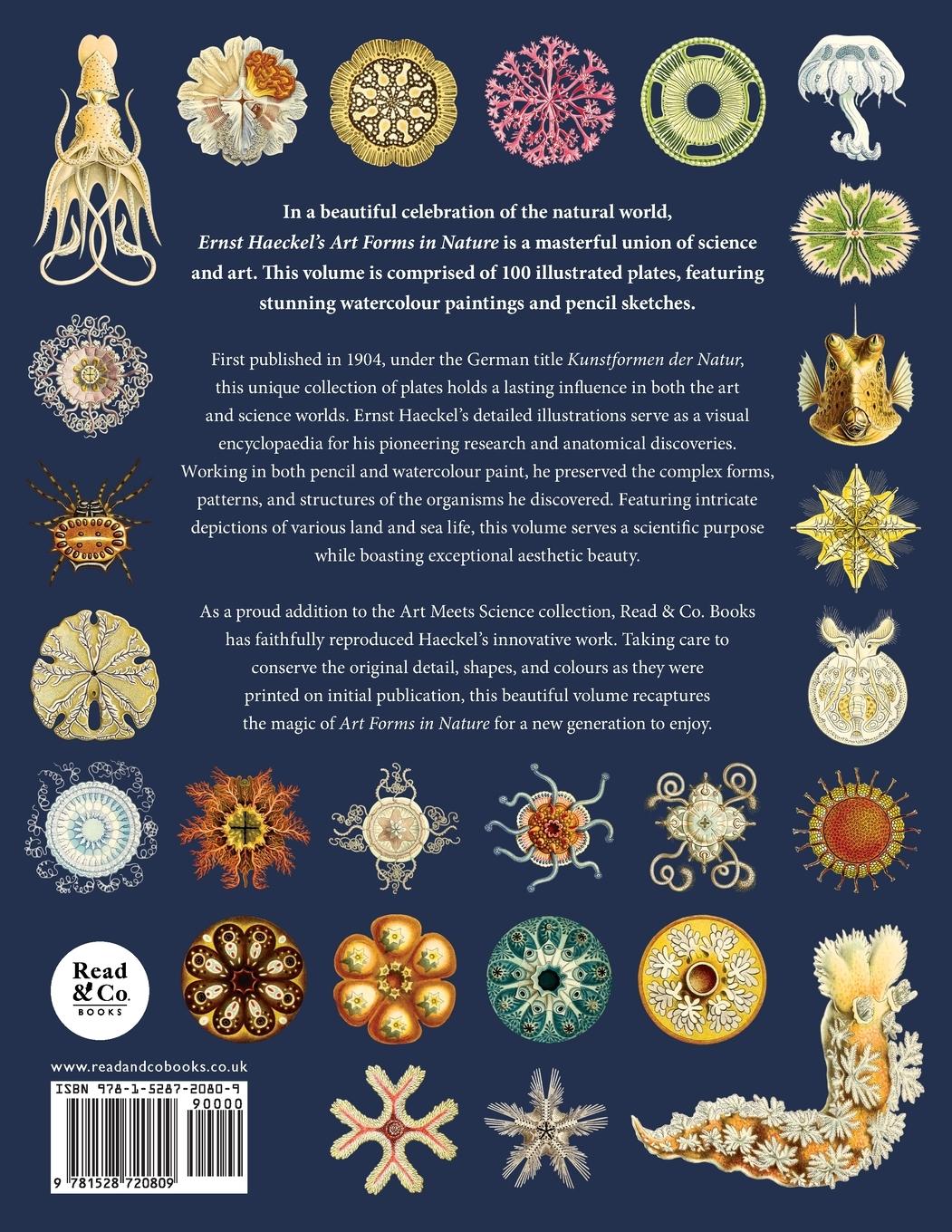 Rückseitencover Ernst Haeckel's Art Forms in Nature