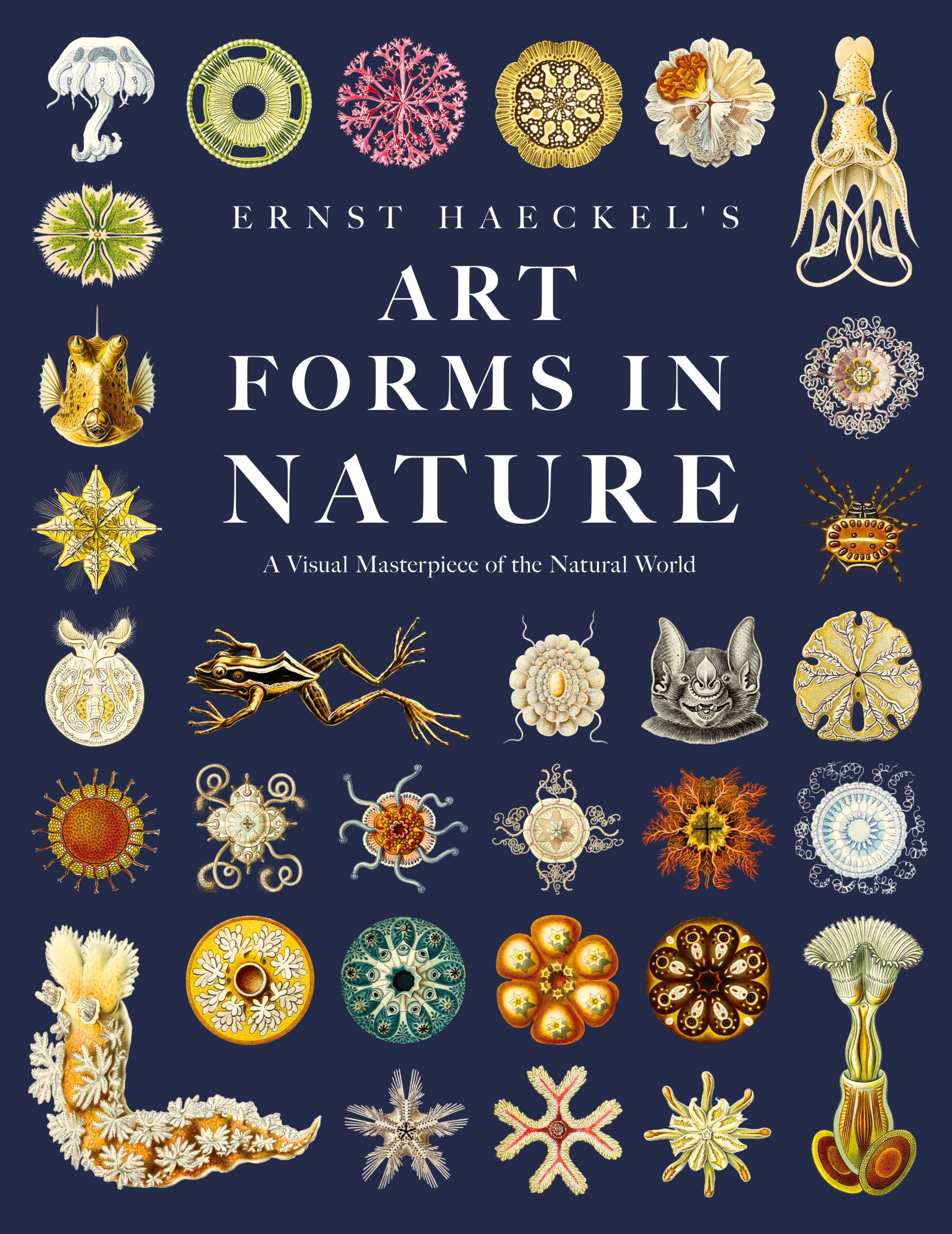 Vorderes Coverbild Ernst Haeckel's Art Forms in Nature