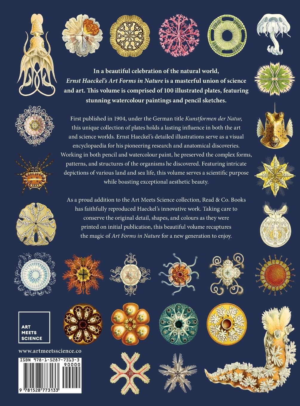 Rückseitencover Ernst Haeckel's Art Forms in Nature