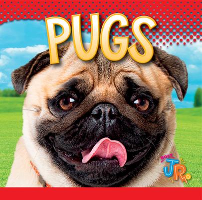 Vorderes Coverbild Pugs