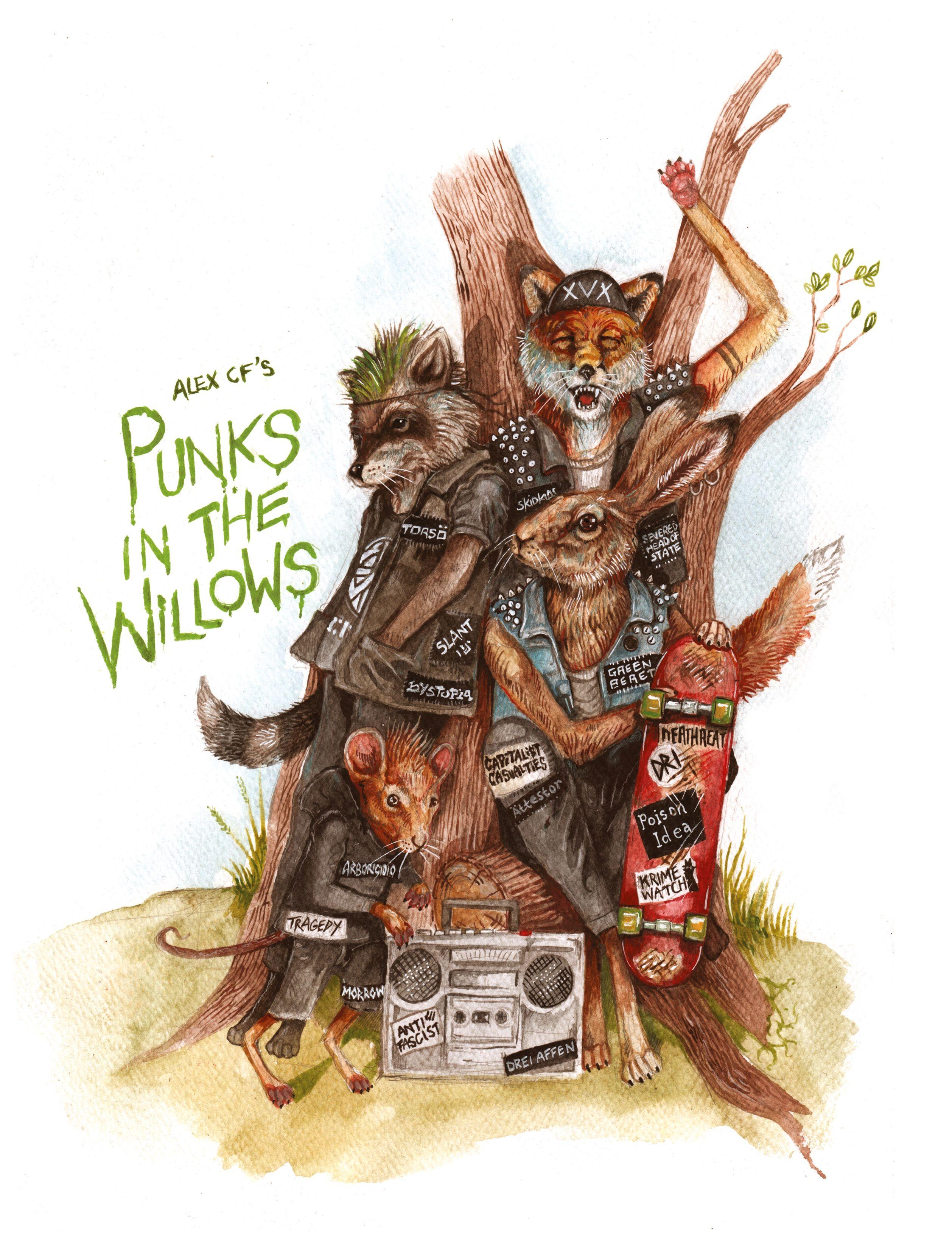 Vorderes Coverbild Punks In The Willows (Hardcover)