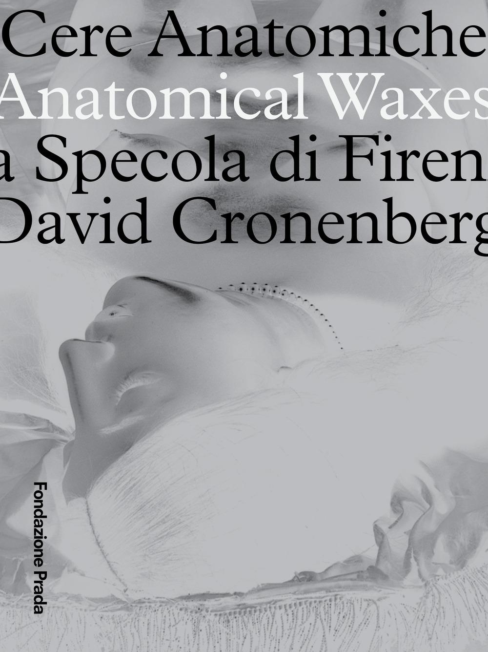 Vorderes Coverbild Anatomical Waxes