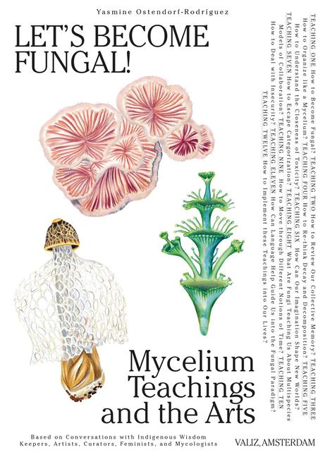 Vorderes Coverbild Let's Become Fungal!