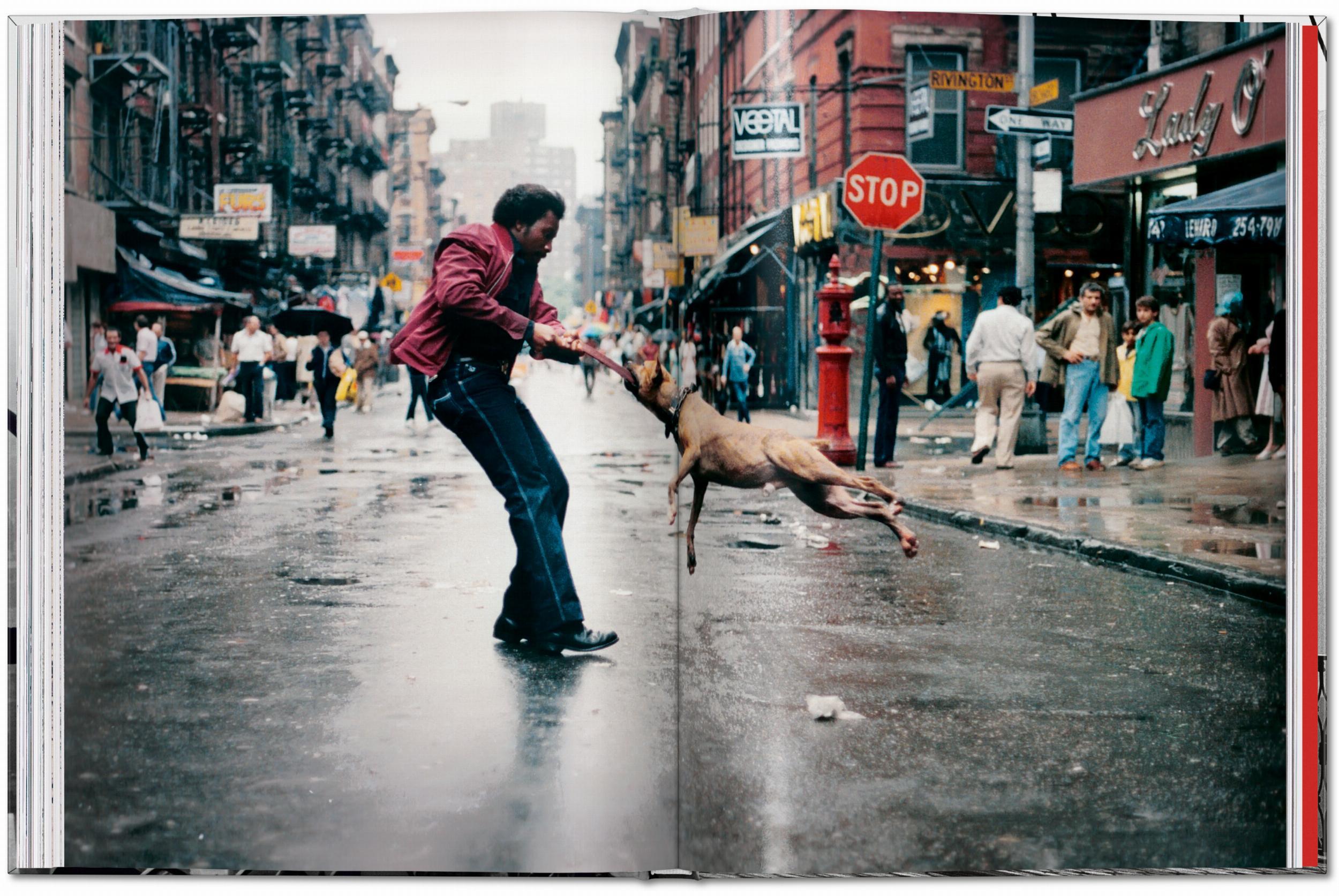 Beispielinhalt (Bild) New York. Portrait of a City