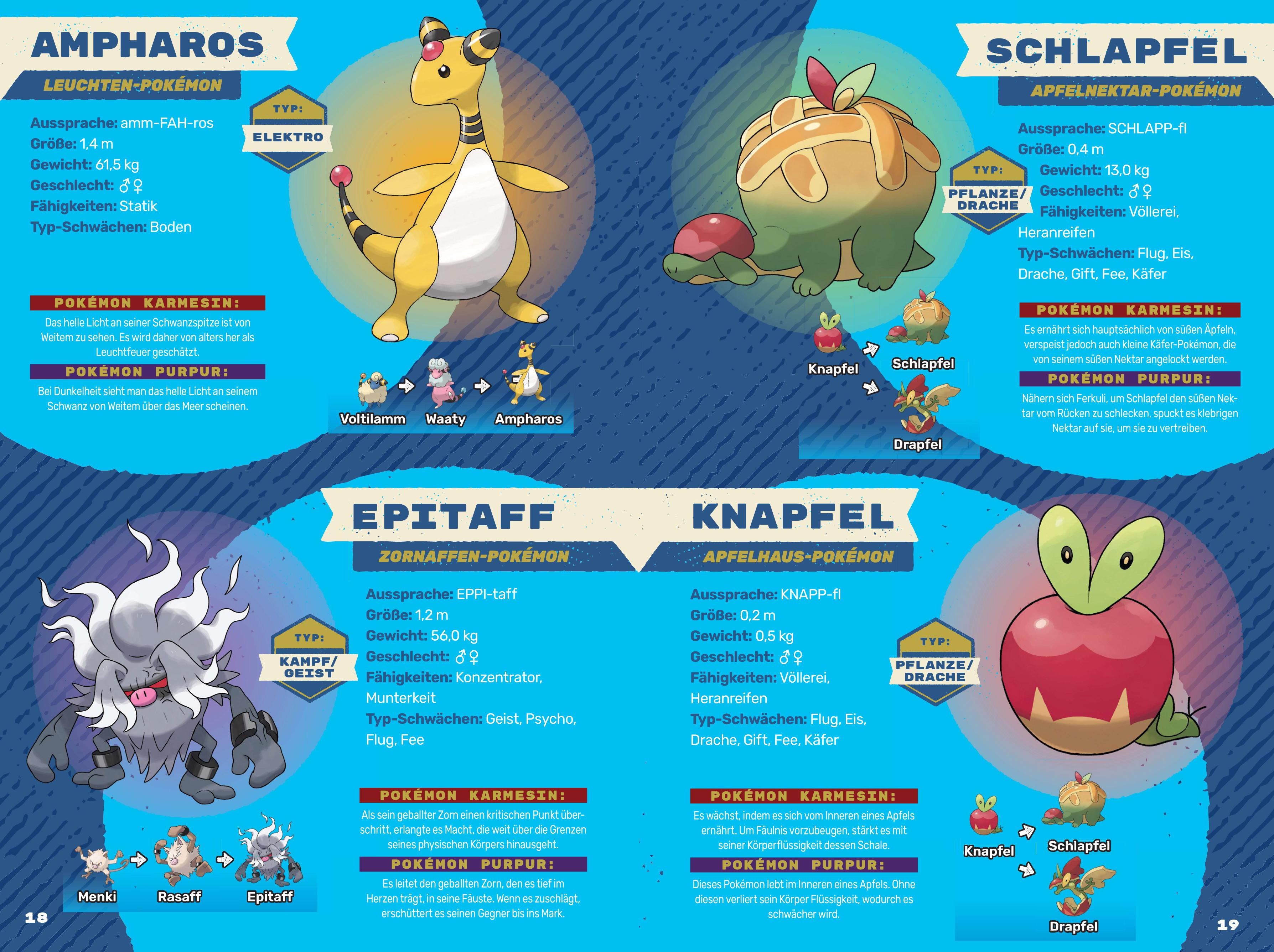 Beispielinhalt (Bild) Pokémon: Das große Paldea-Lexikon