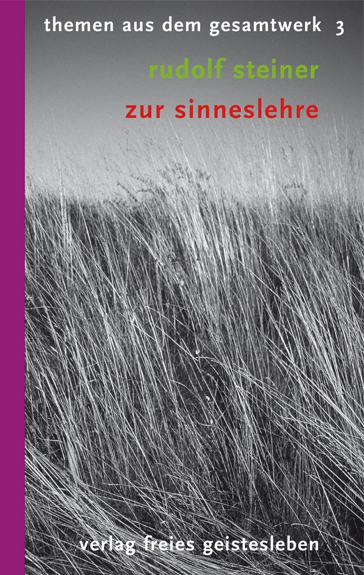 Vorderes Coverbild Zur Sinneslehre
