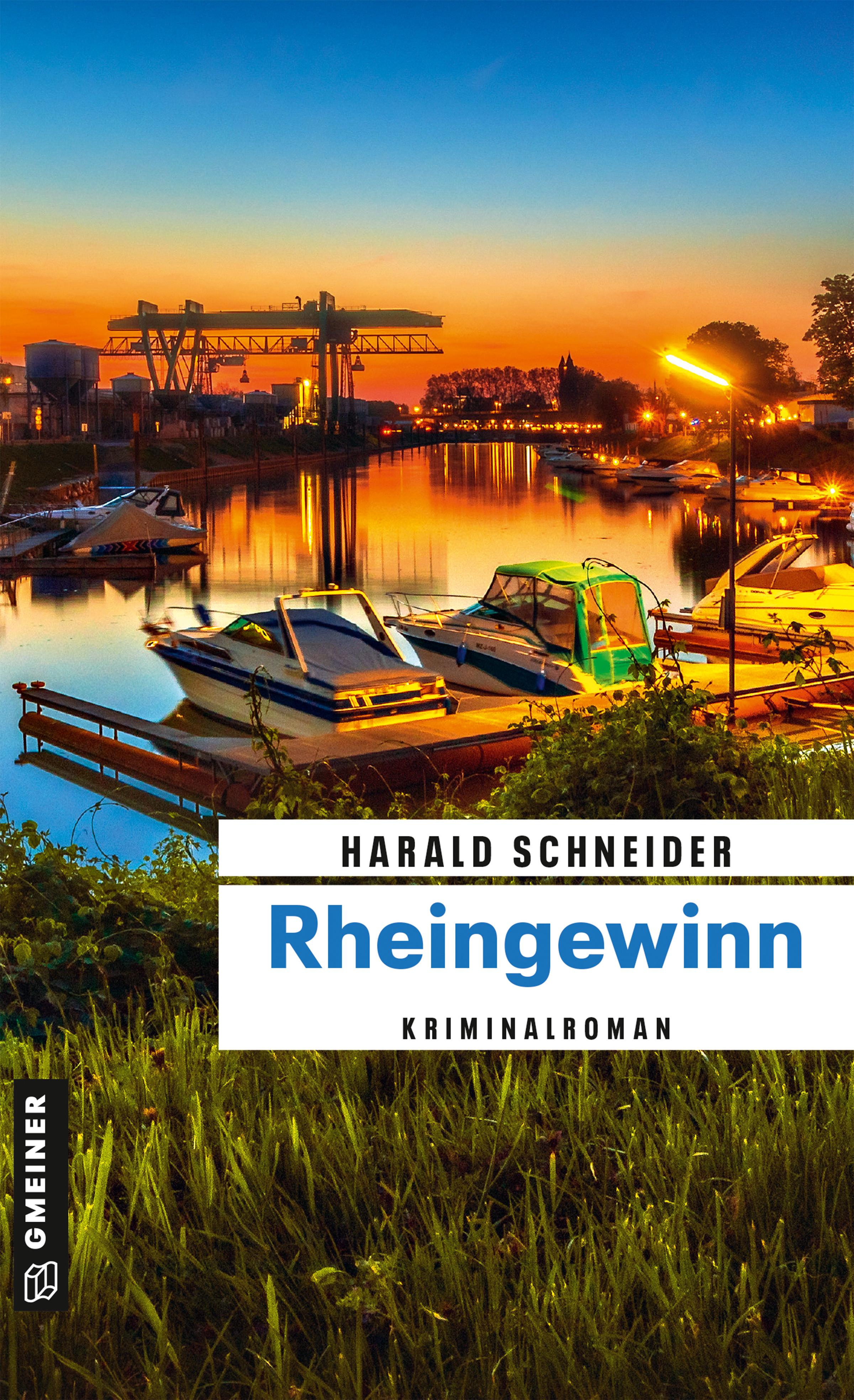 Vorderes Coverbild Rheingewinn