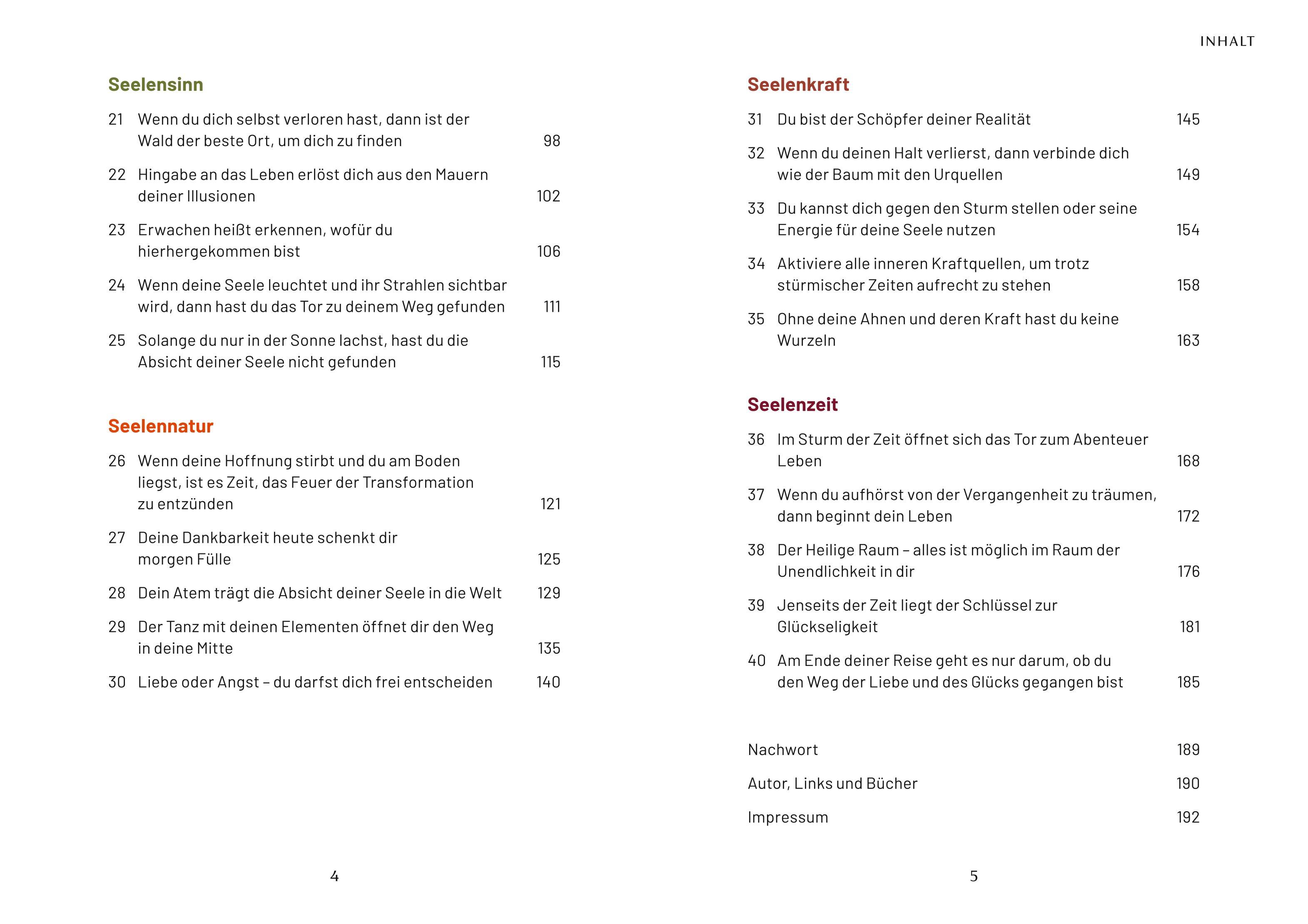 Beispielinhalt (Bild) 40 schamanische Weisheiten für herausfordernde Zeiten