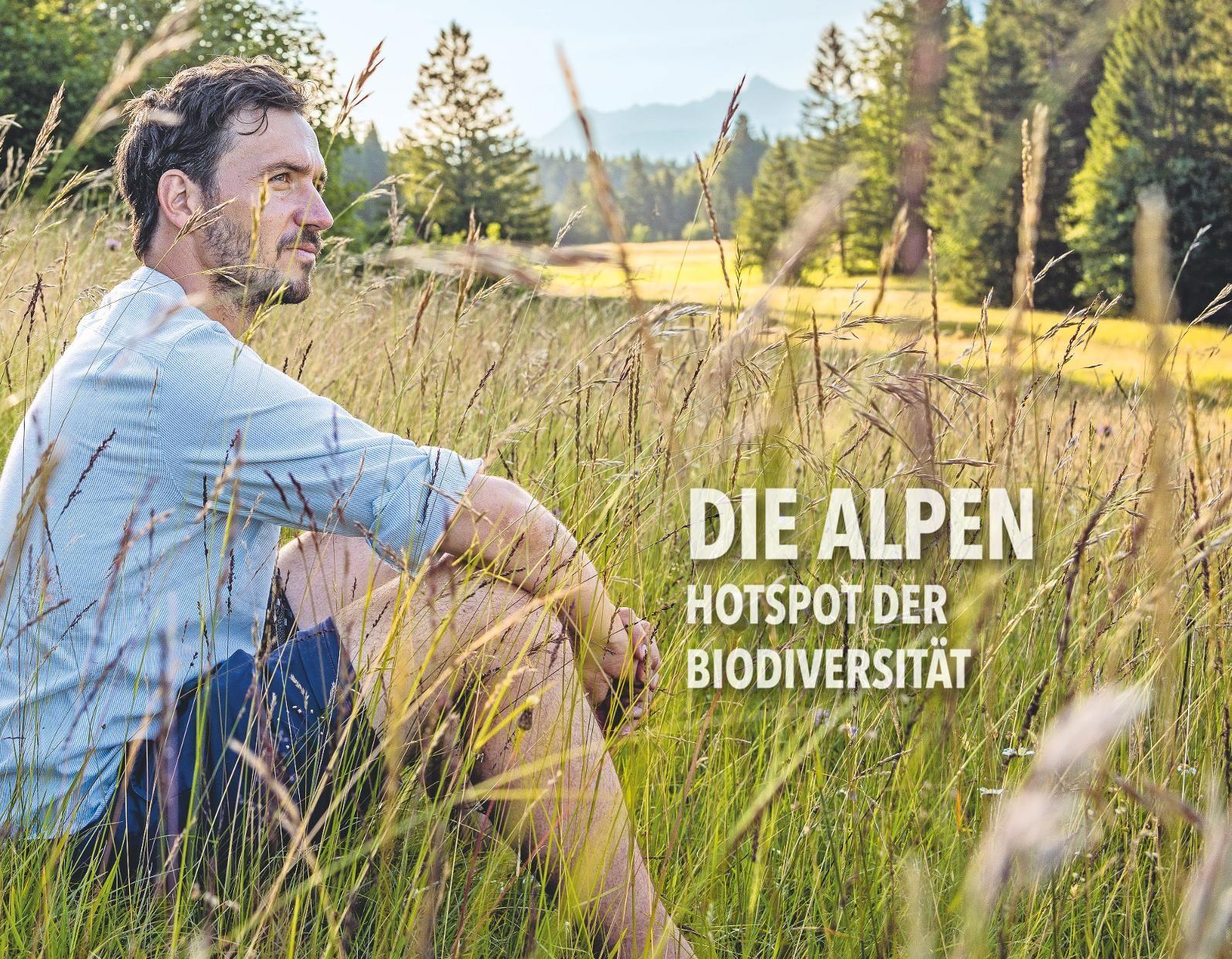 Beispielinhalt (Bild) Das Erbe der Alpen
