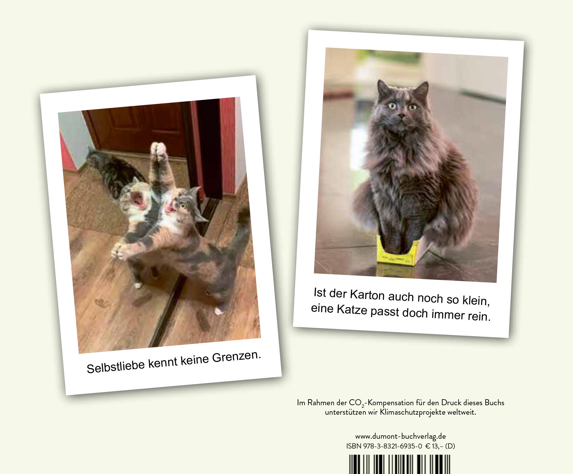 Rückseitencover Hilfe, meine Katze ist kaputt