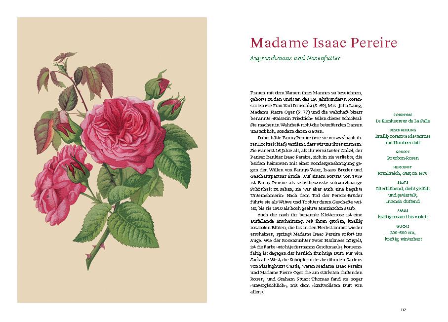 Beispielinhalt (Bild) Historische Rosen
