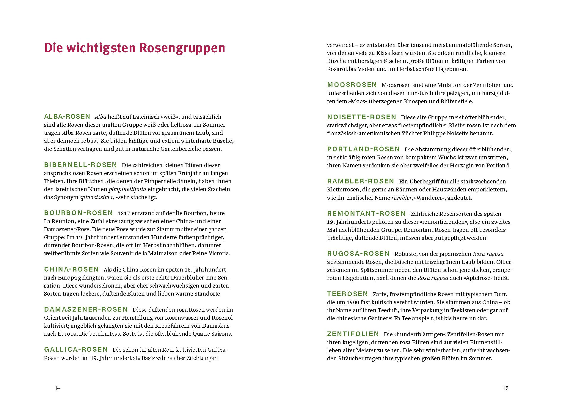 Beispielinhalt (Bild) Historische Rosen