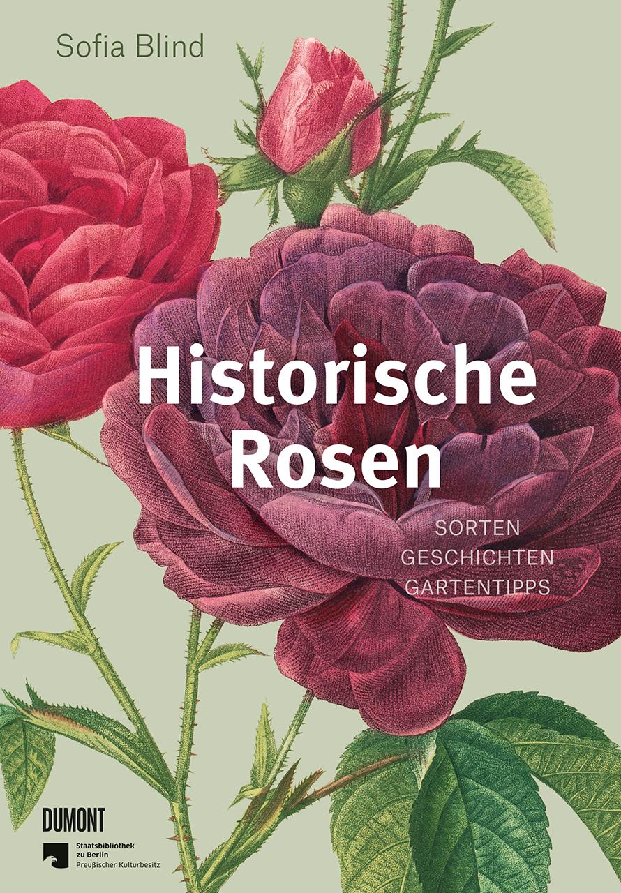Vorderes Coverbild Historische Rosen