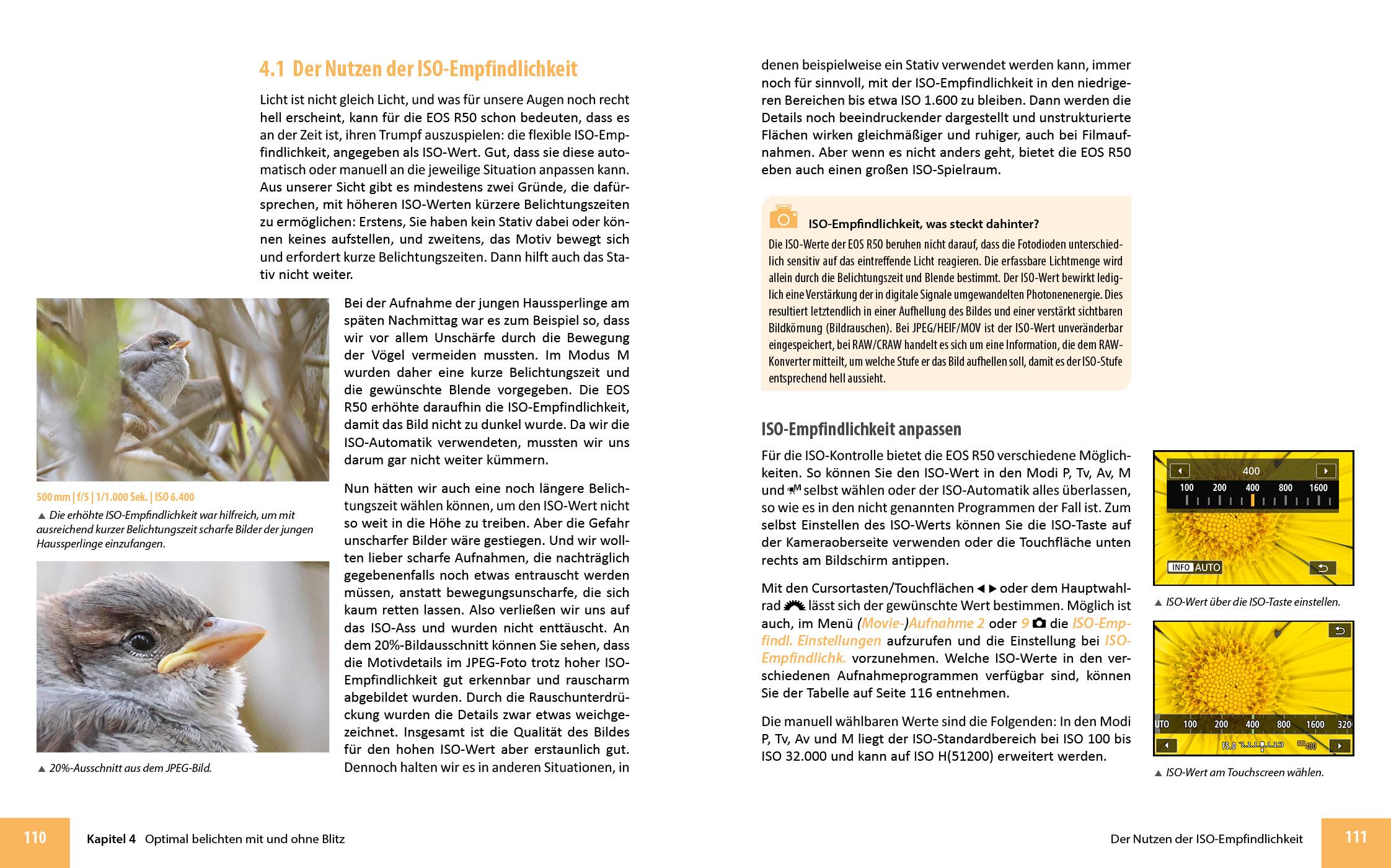 Beispielinhalt (Bild) Canon EOS R50