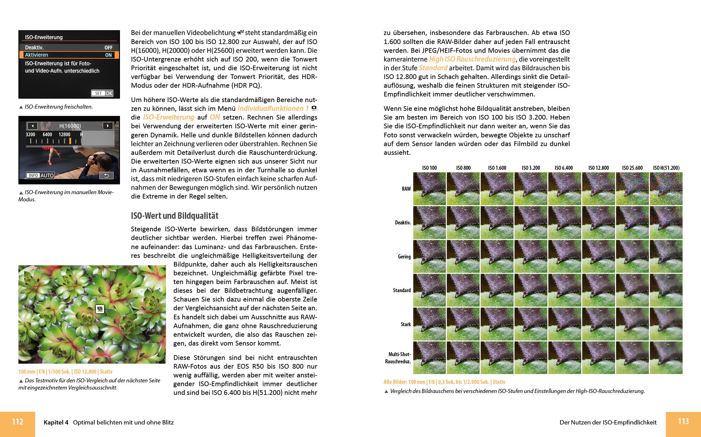 Beispielinhalt (Bild) Canon EOS R50