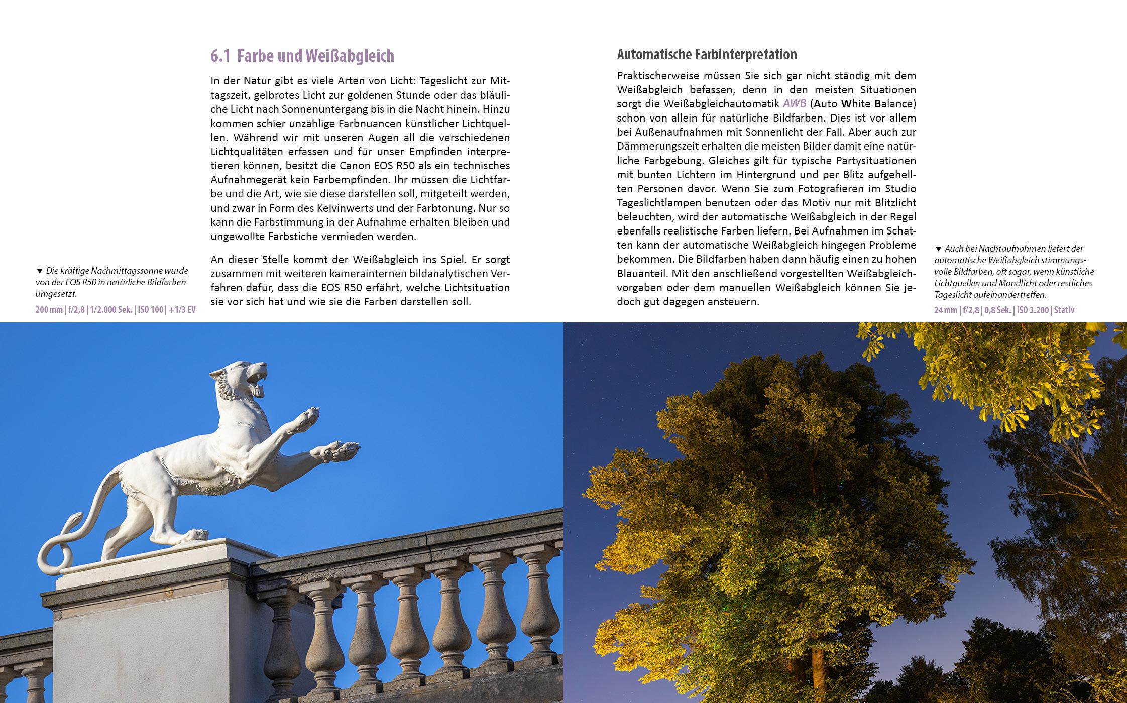 Beispielinhalt (Bild) Canon EOS R50