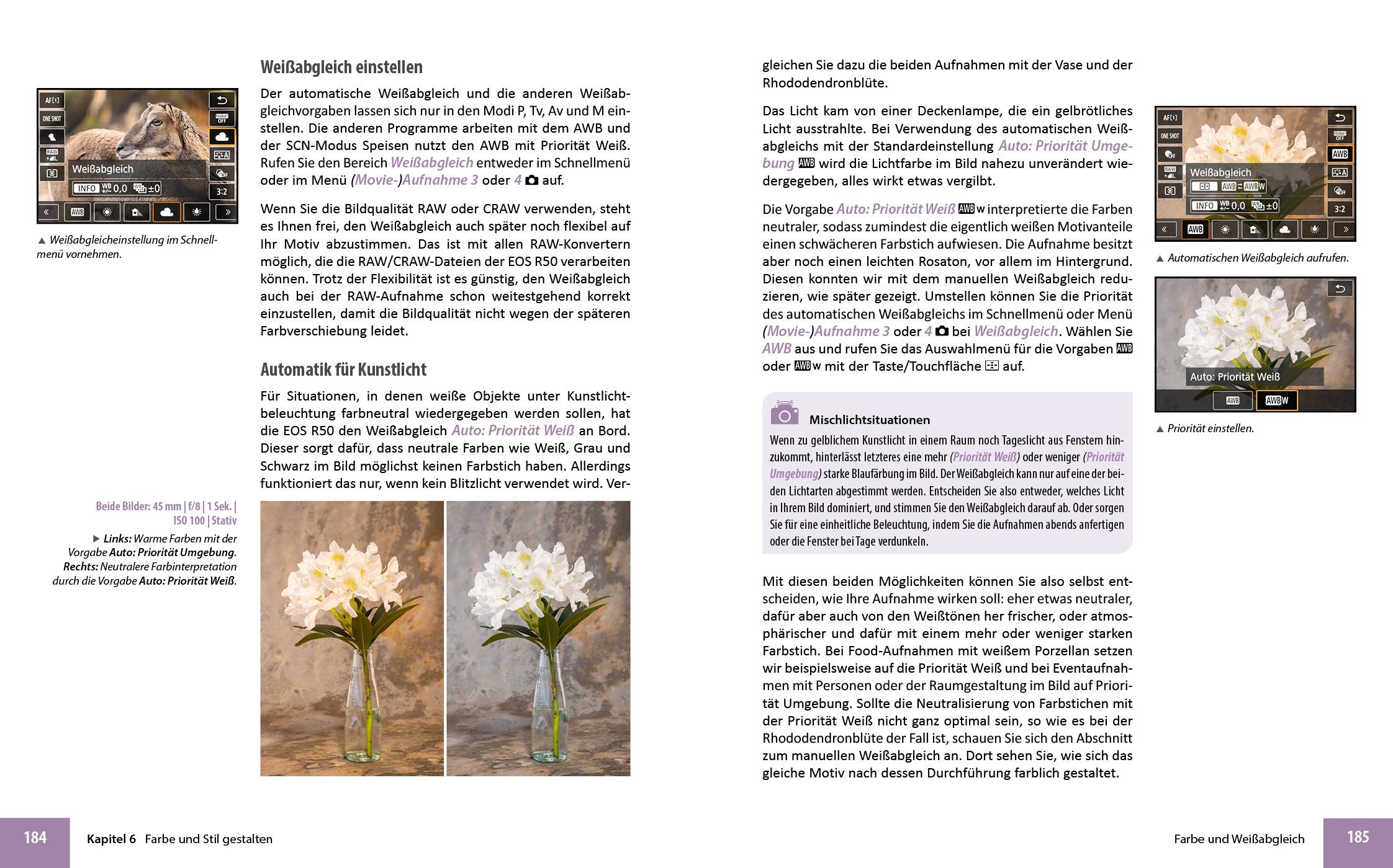 Beispielinhalt (Bild) Canon EOS R50