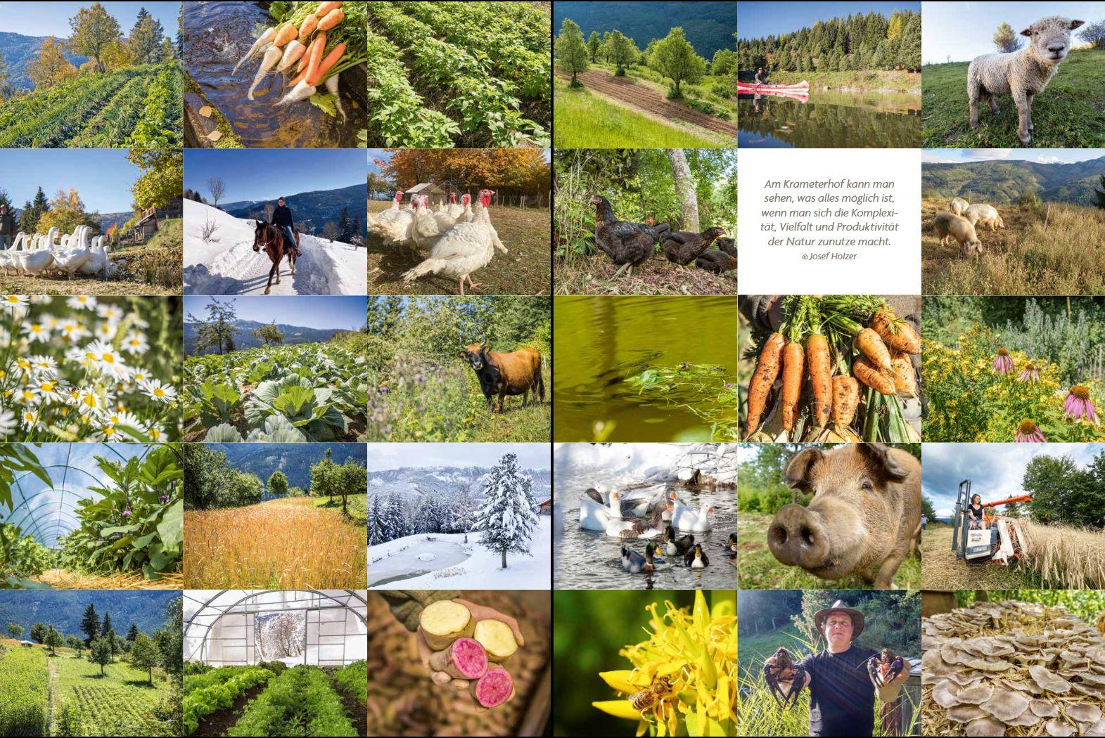 Beispielinhalt (Bild) Agrar-Rebellion Jetzt