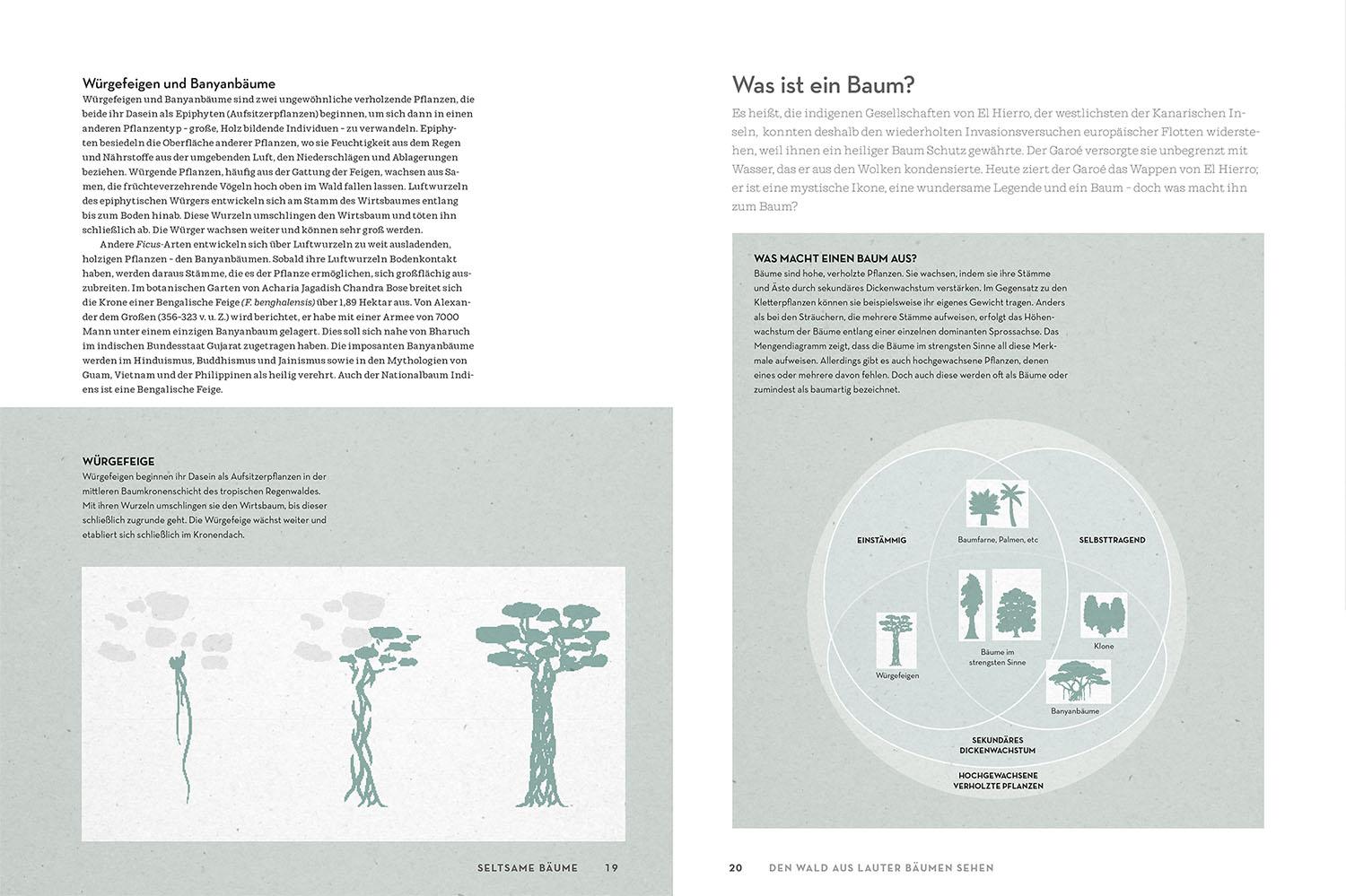 Beispielinhalt (Bild) Atlas der Wälder