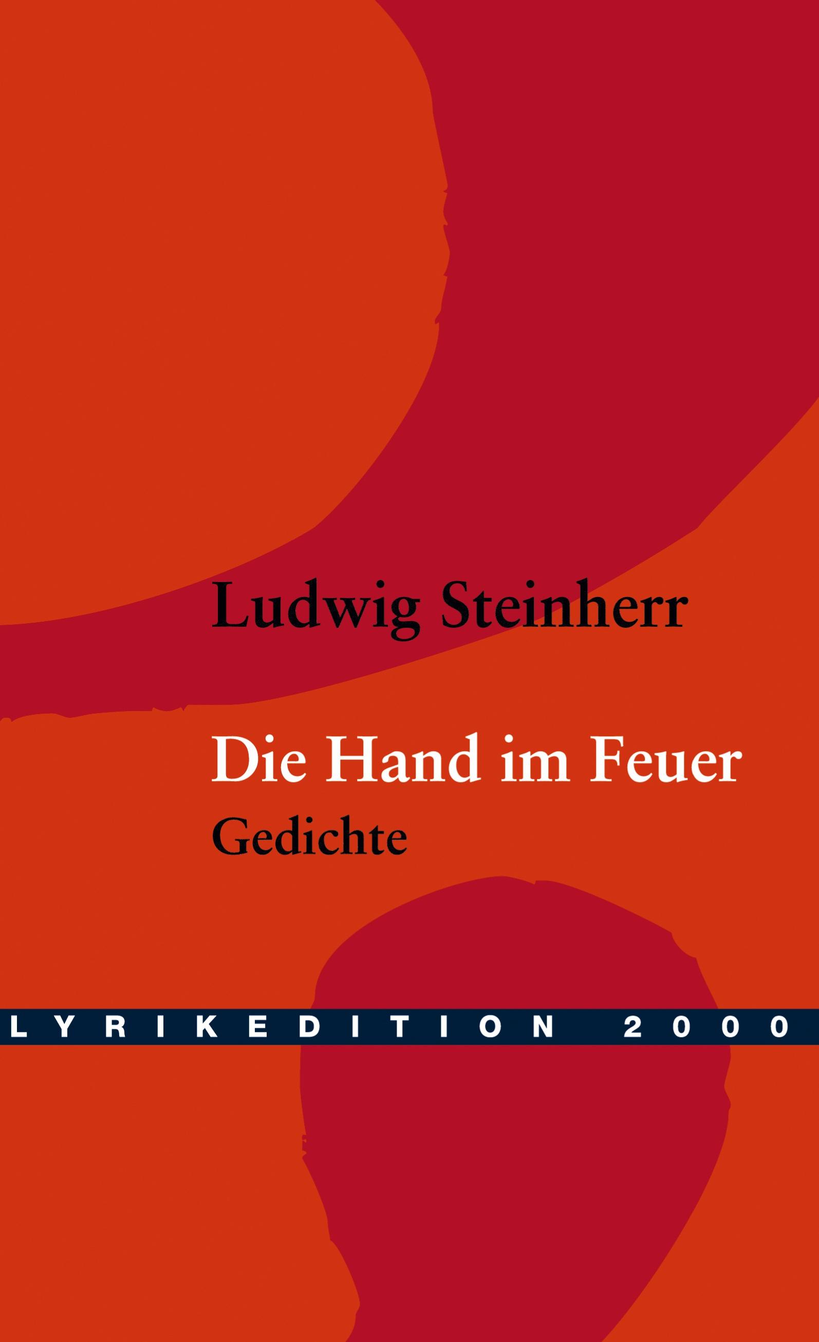 Vorderes Coverbild Die Hand im Feuer