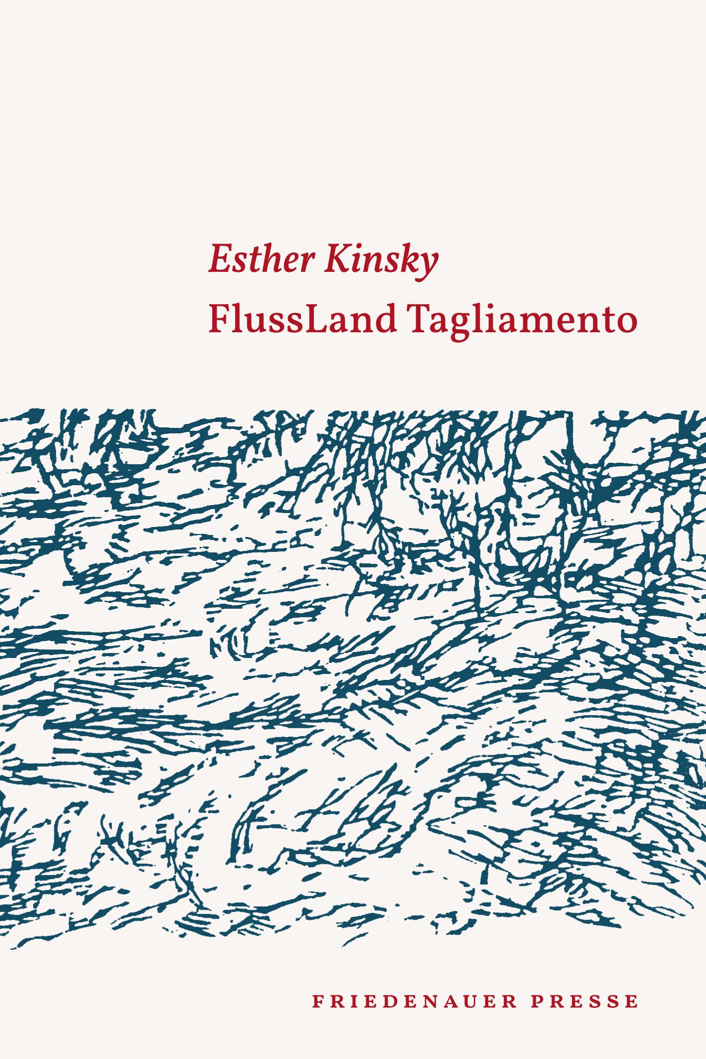 Vorderes Coverbild FlussLand Tagliamento