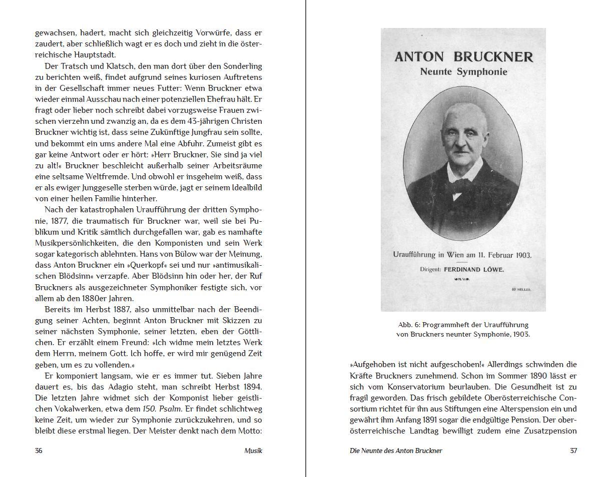 Beispielinhalt (Bild) Die Unvollendeten