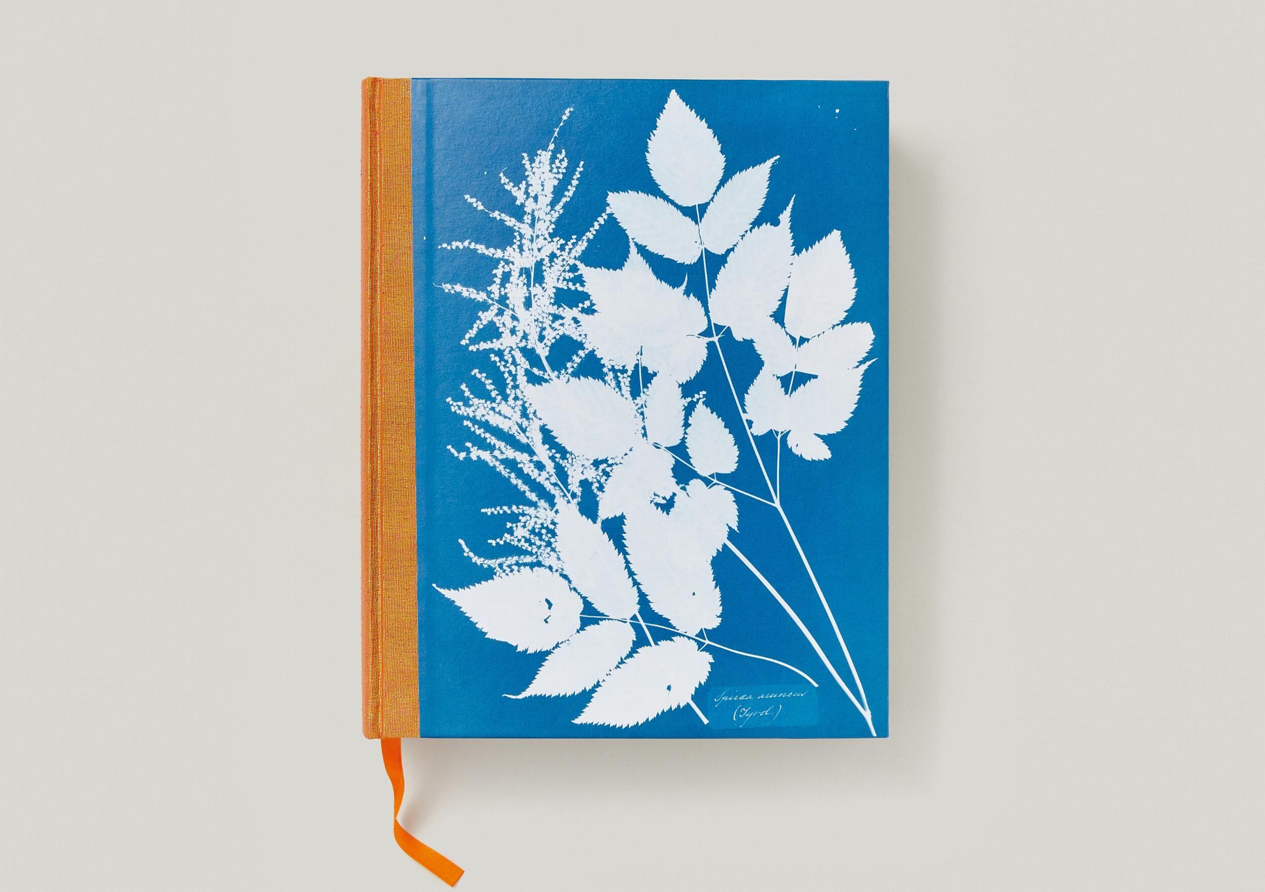 Beispielinhalt (Bild) Anna Atkins. Cyanotypes