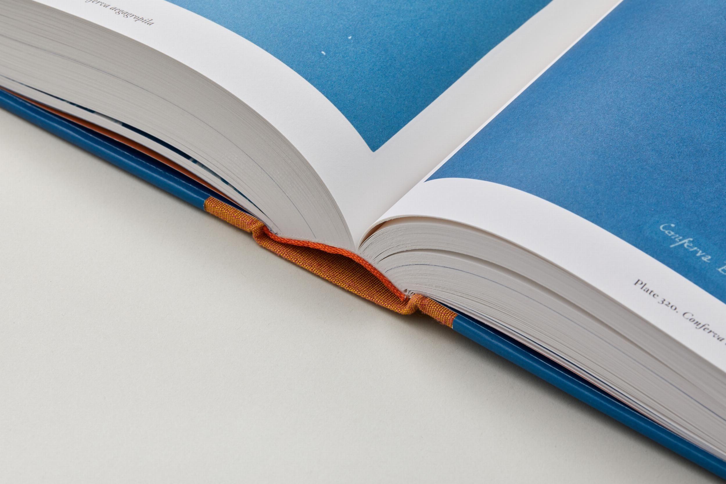 Beispielinhalt (Bild) Anna Atkins. Cyanotypes