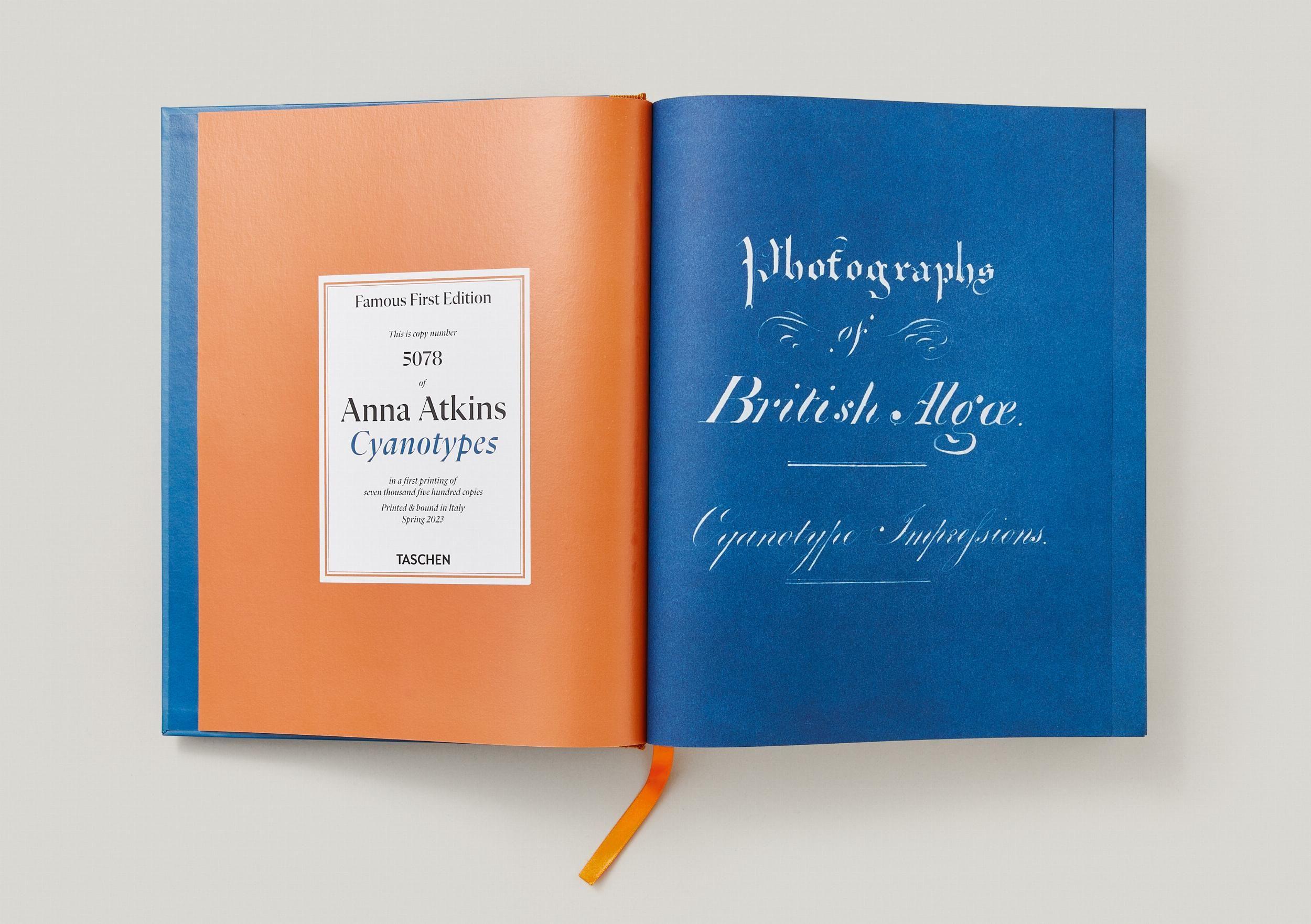 Beispielinhalt (Bild) Anna Atkins. Cyanotypes