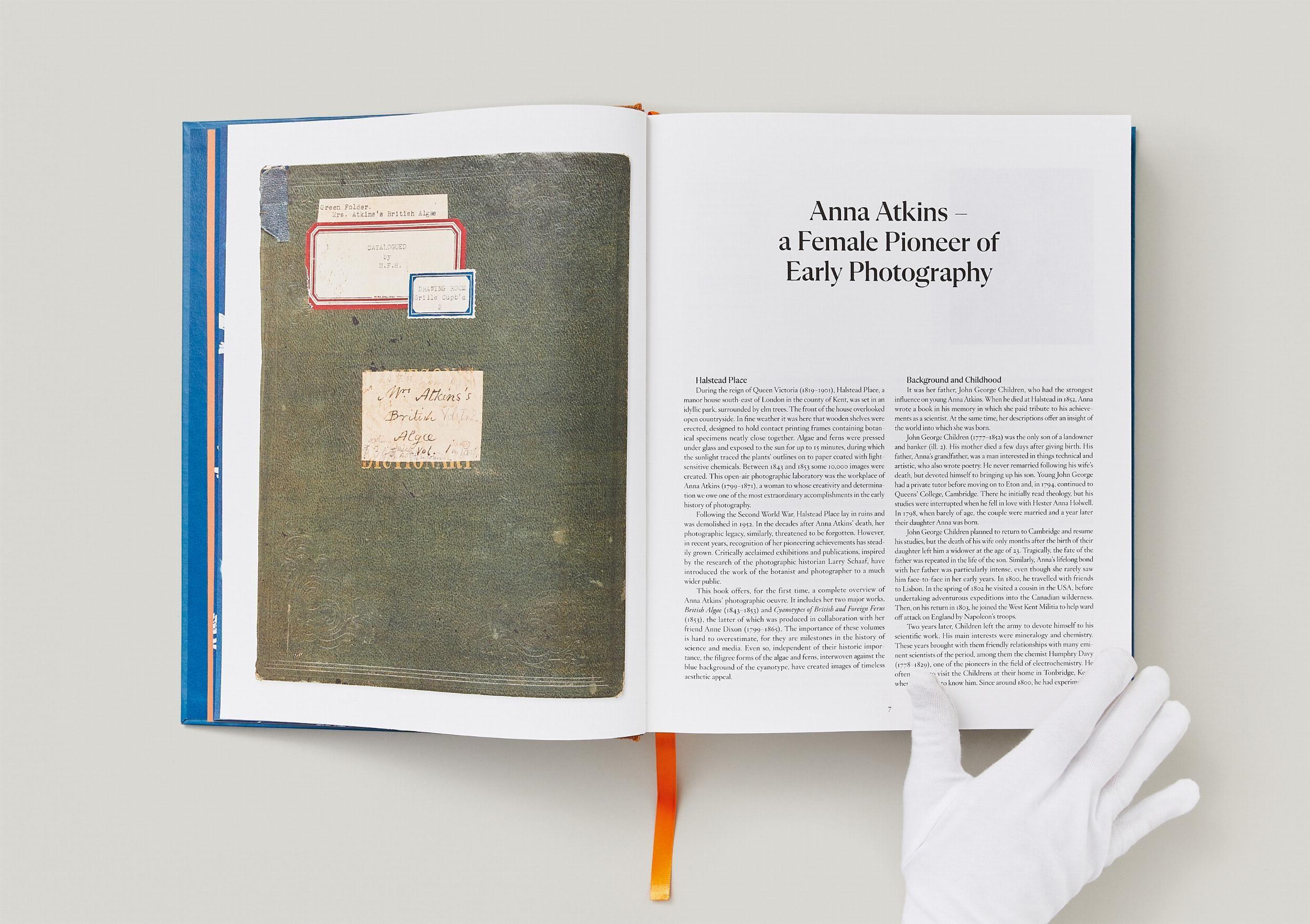 Beispielinhalt (Bild) Anna Atkins. Cyanotypes