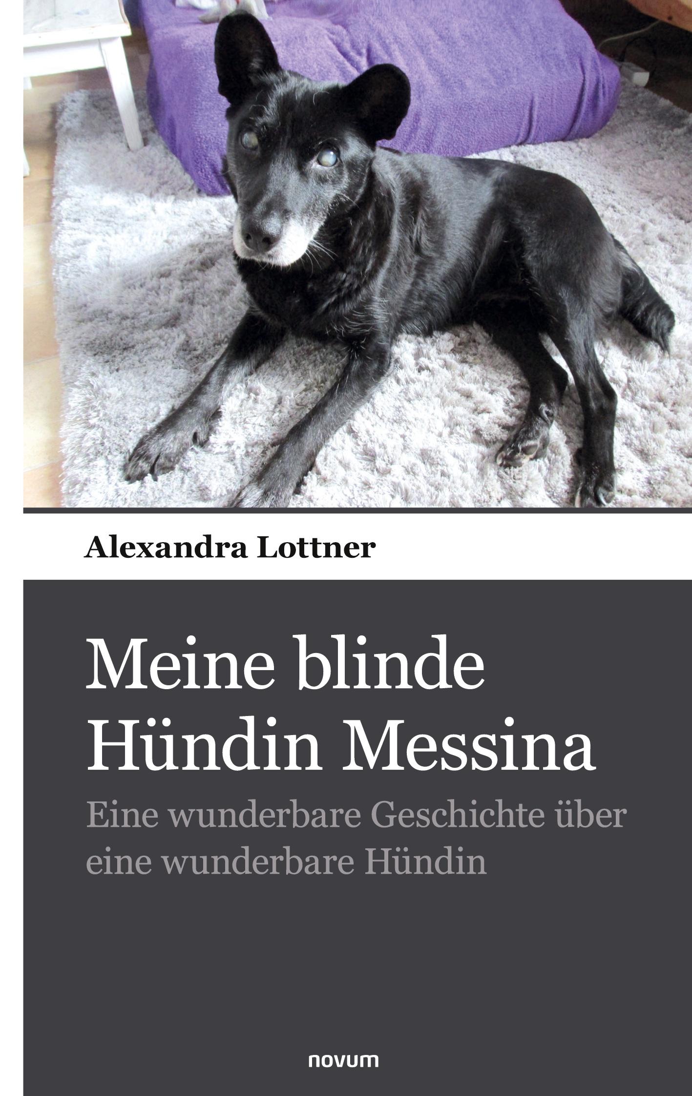 Vorderes Coverbild Meine blinde Hündin Messina
