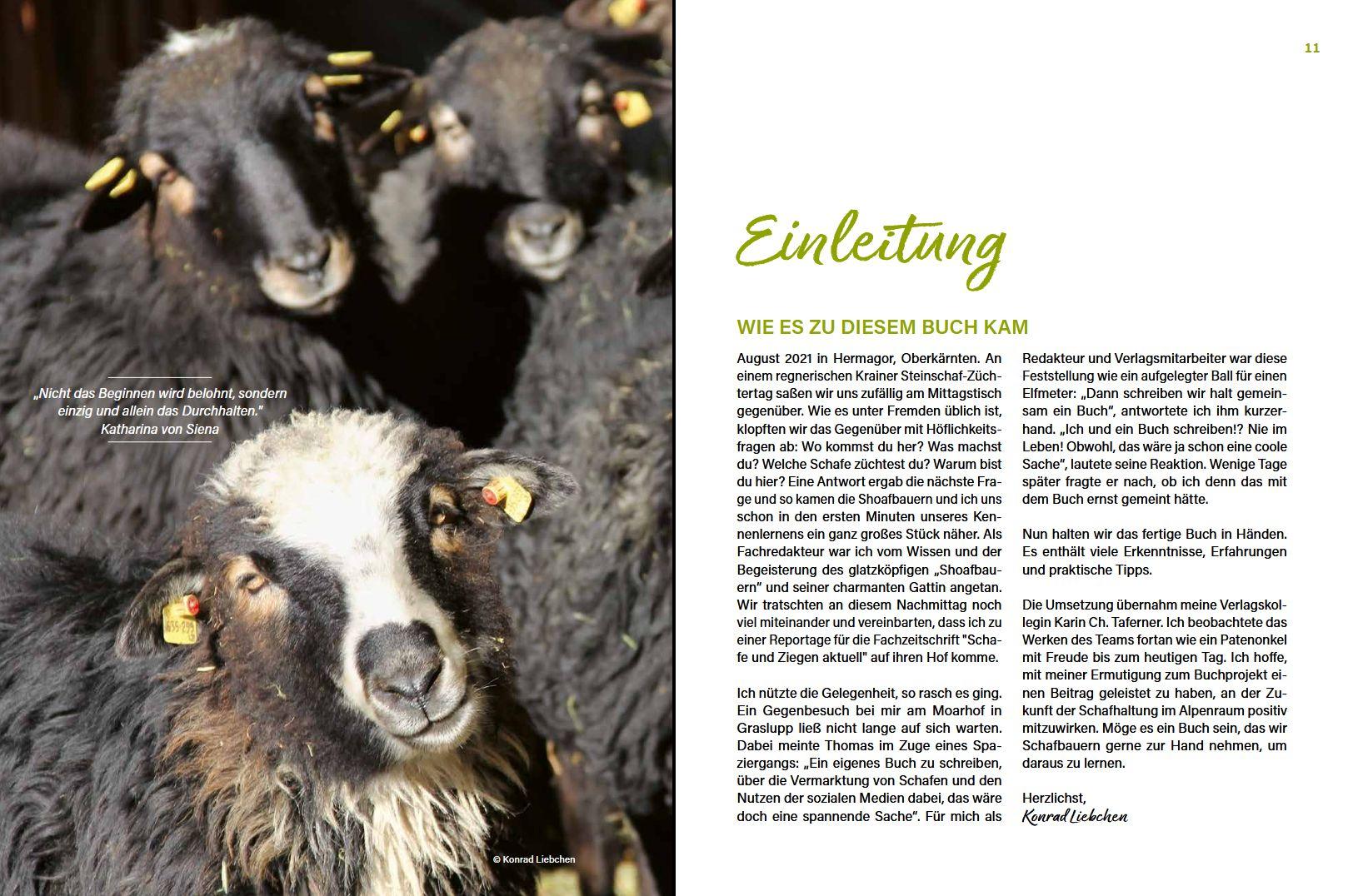 Beispielinhalt (Bild) Alles vom Schaf!