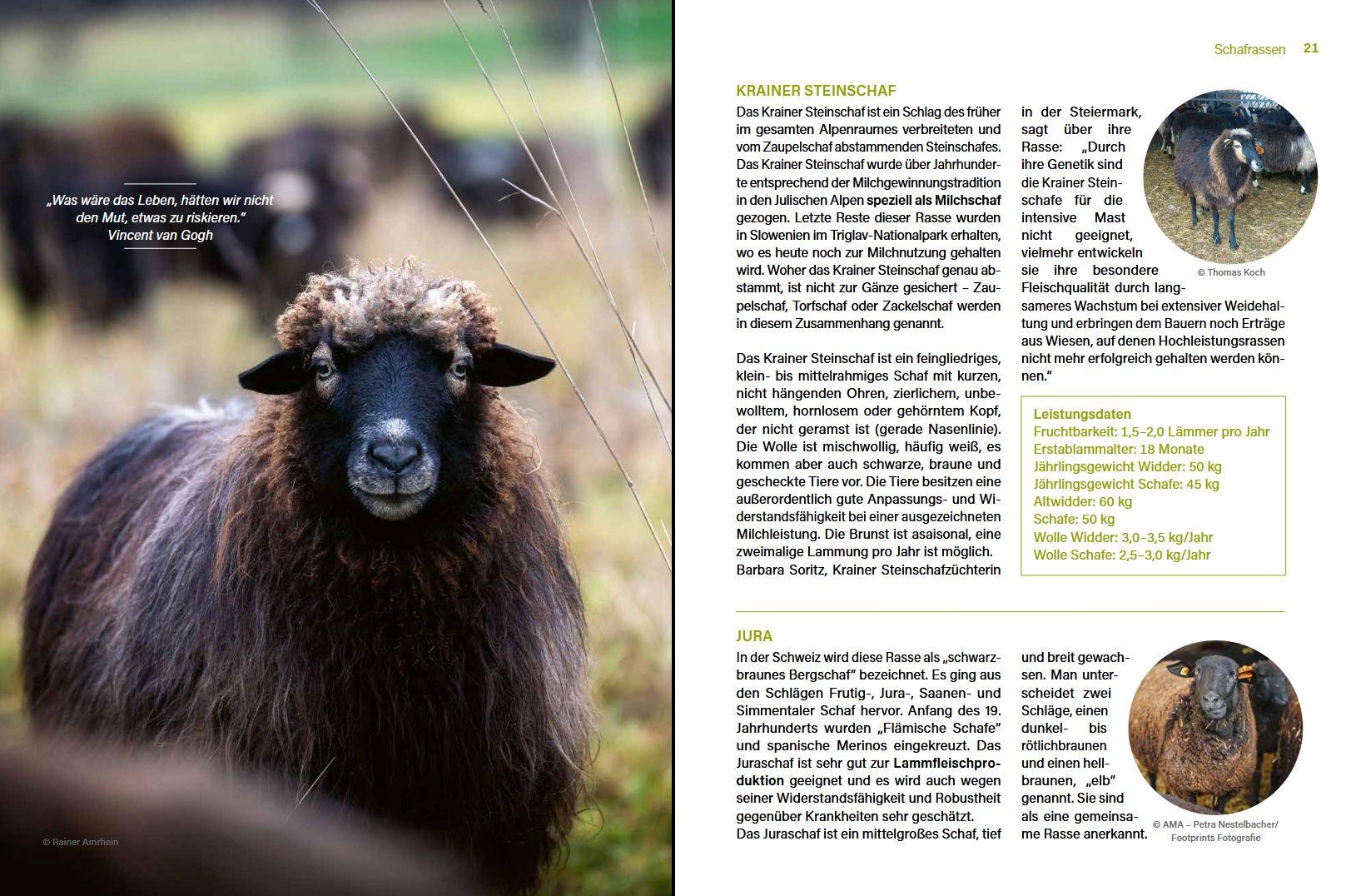 Beispielinhalt (Bild) Alles vom Schaf!