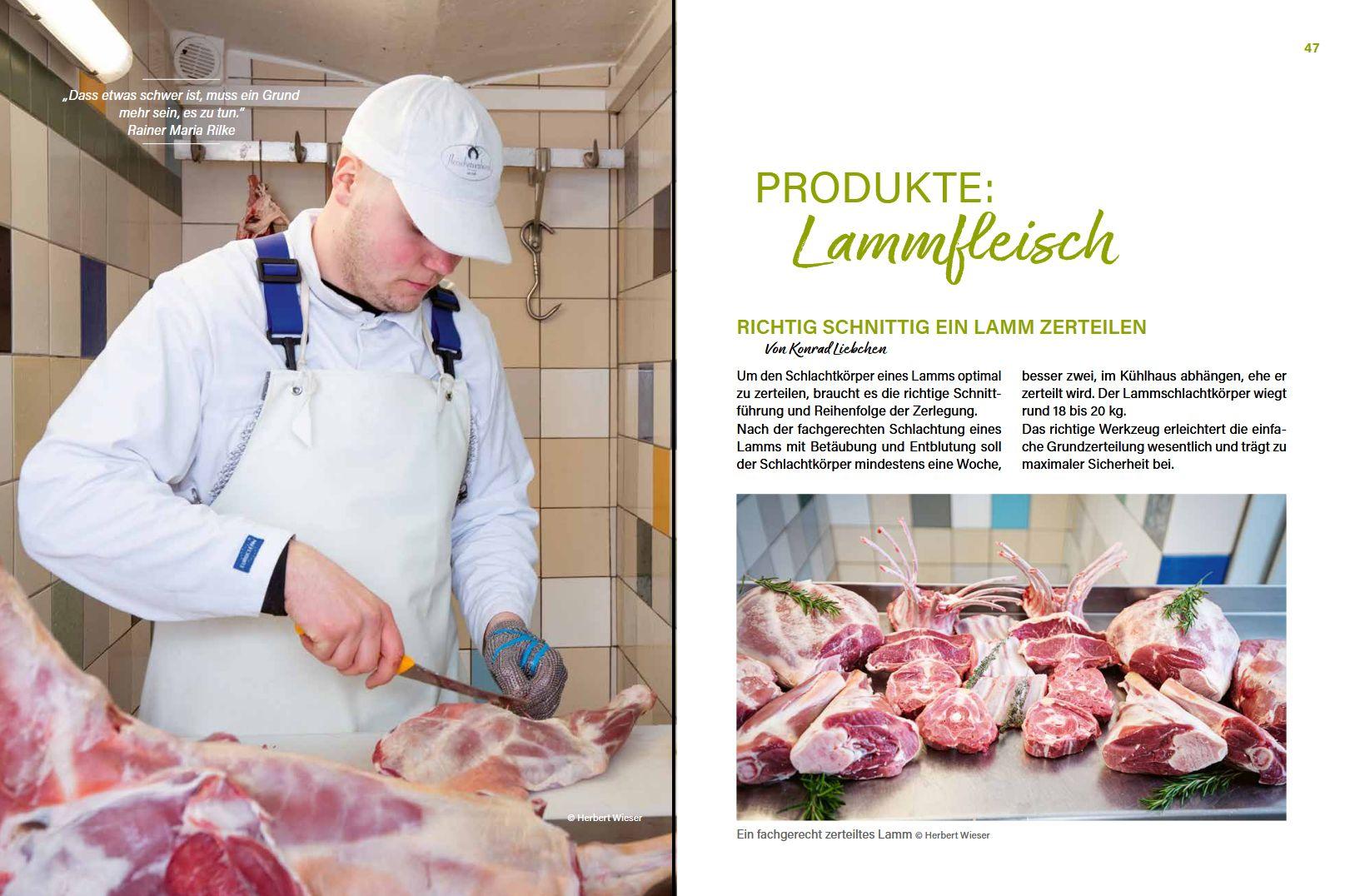 Beispielinhalt (Bild) Alles vom Schaf!