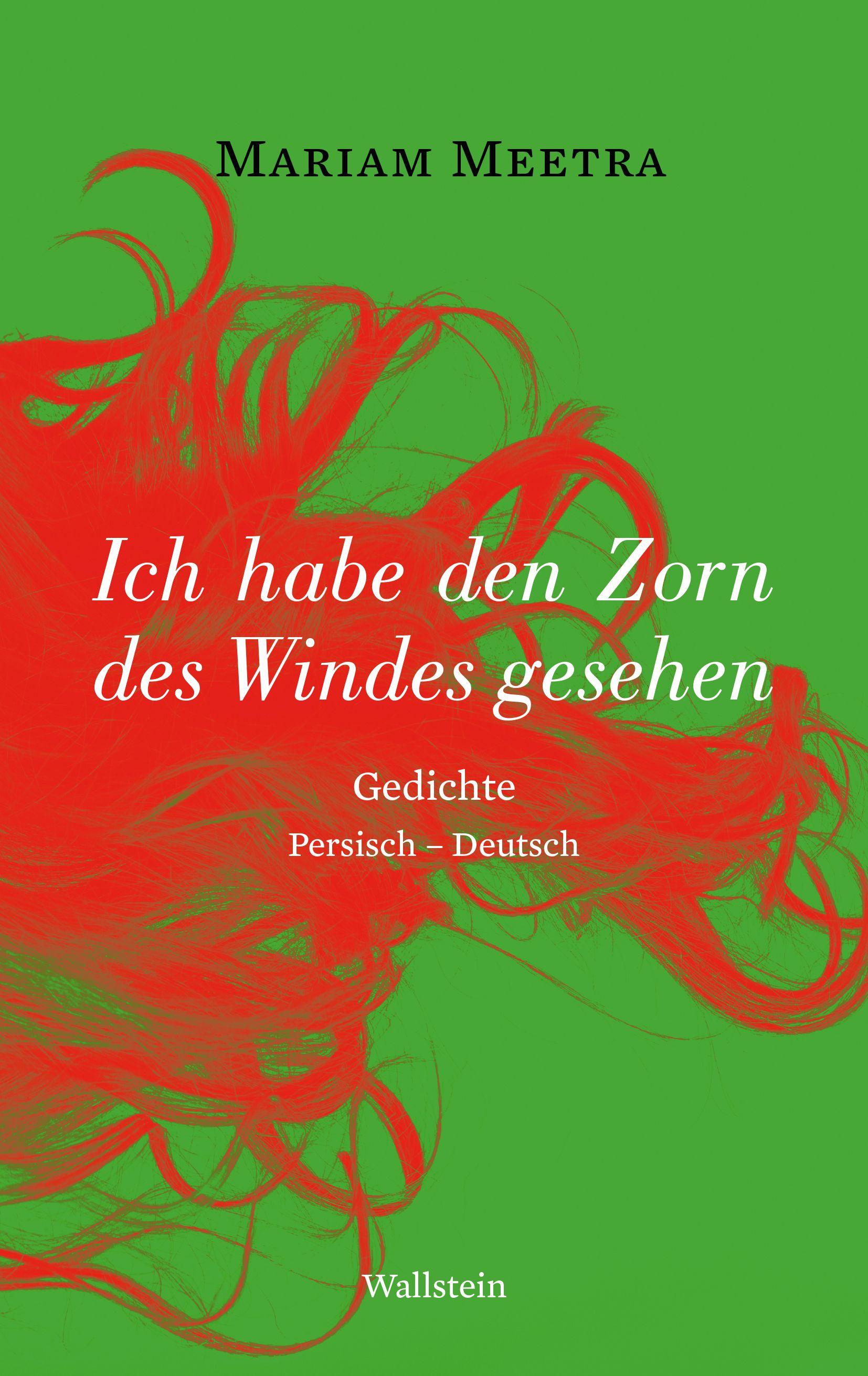 Vorderes Coverbild Ich habe den Zorn des Windes gesehen