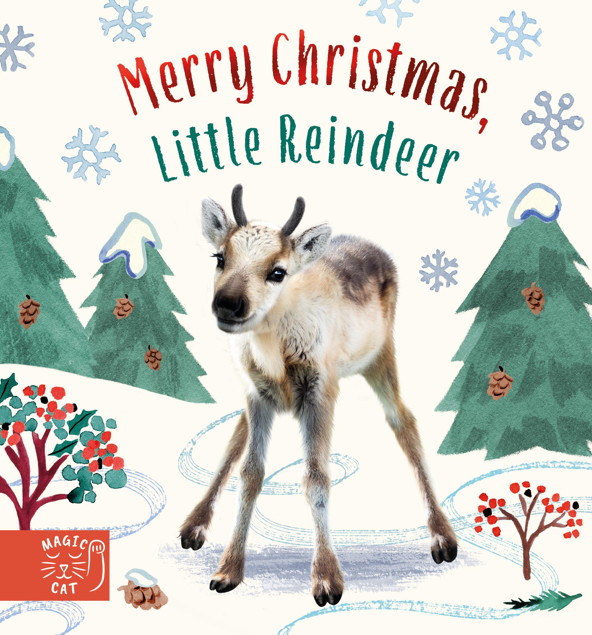 Vorderes Coverbild Merry Christmas, Little Reindeer