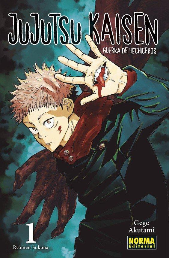 Vorderes Coverbild Jujutsu Kaisen 01