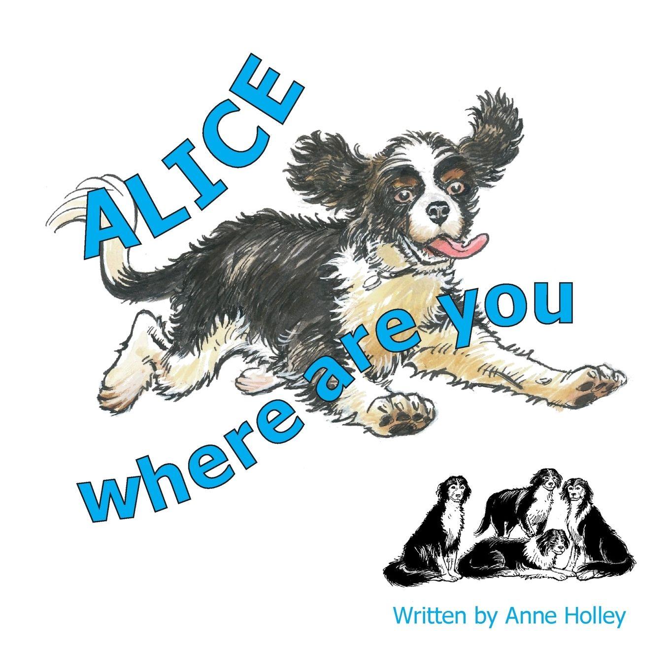 Vorderes Coverbild Alice, Where are You?
