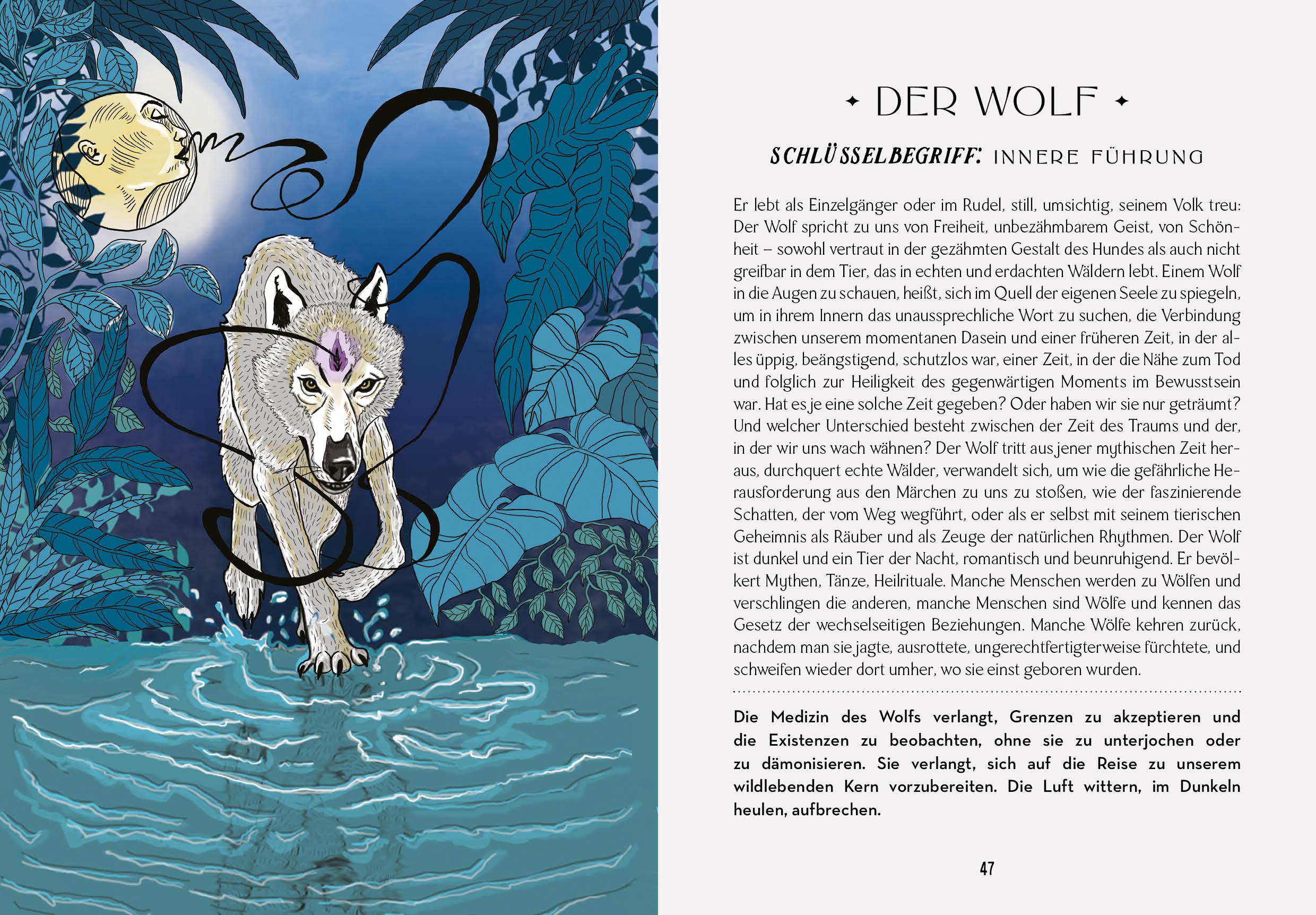 Beispielinhalt (Bild) Das Orakel der Schamanen